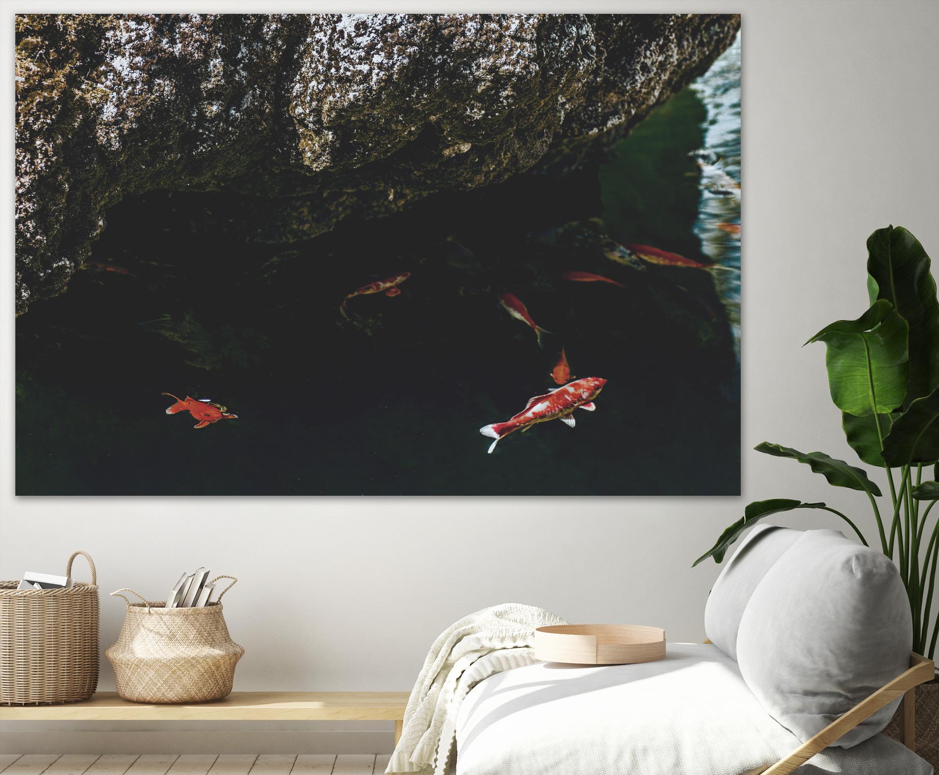 Hiding Koi by Pexels on GIANT ART - orange animals