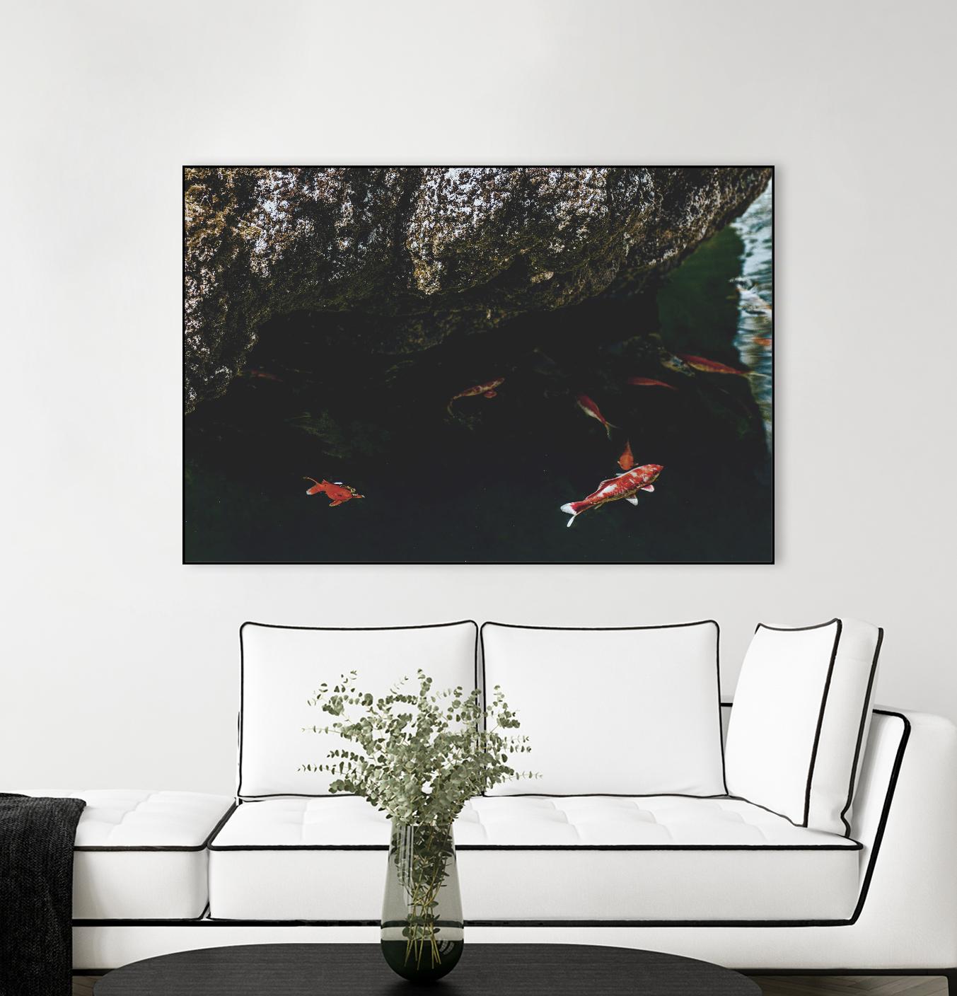 Hiding Koi by Pexels on GIANT ART - orange animals
