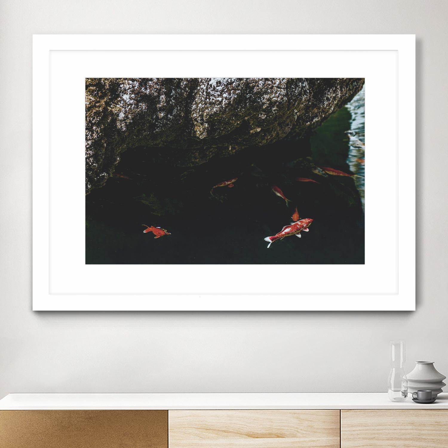 Hiding Koi by Pexels on GIANT ART - orange animals