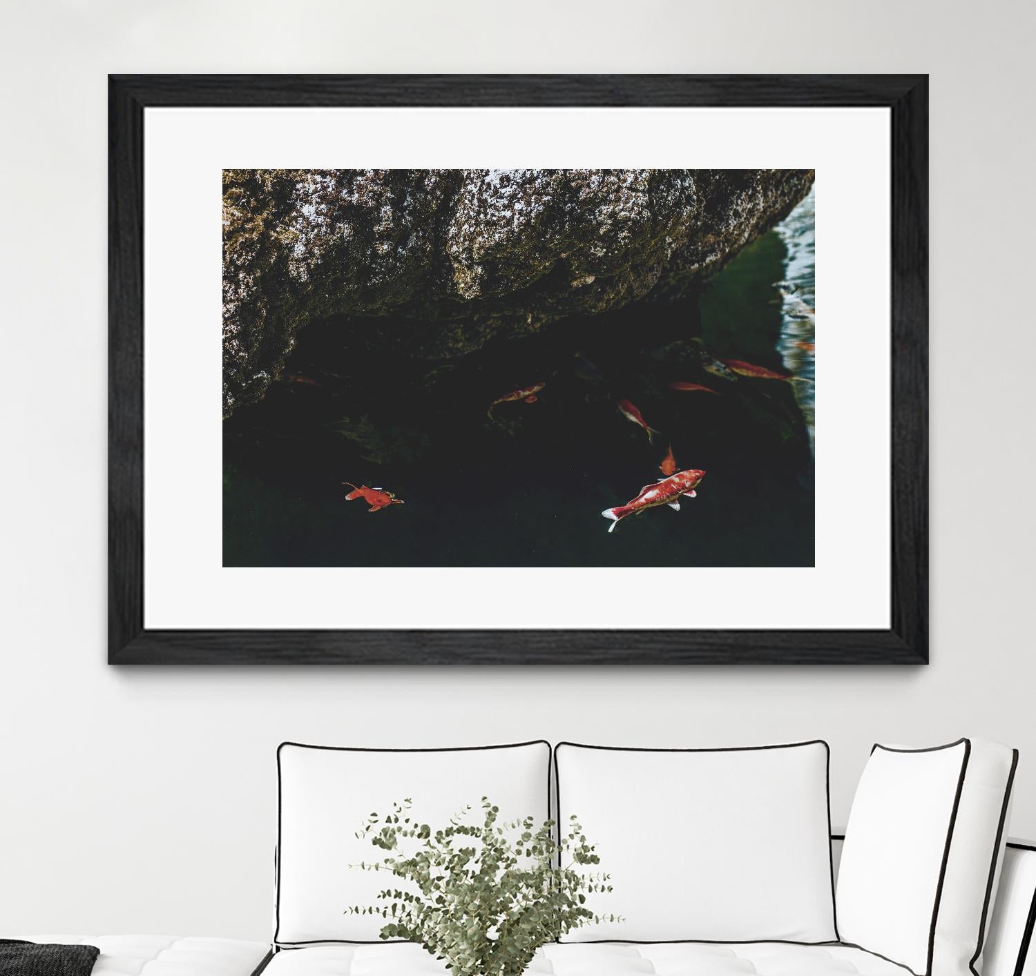 Hiding Koi by Pexels on GIANT ART - orange animals