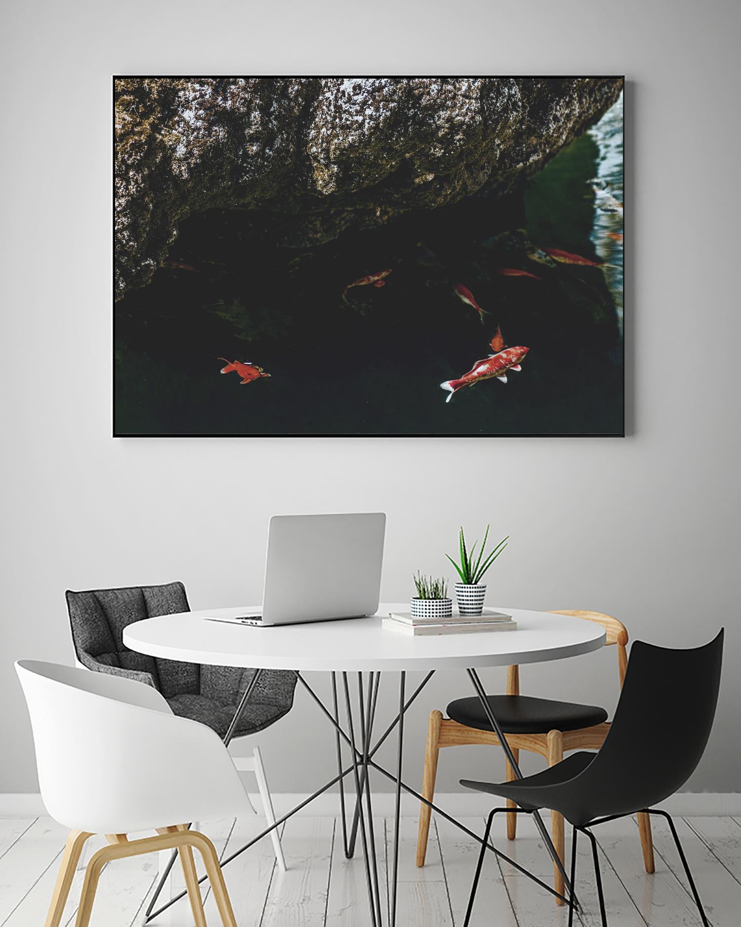 Hiding Koi by Pexels on GIANT ART - orange animals