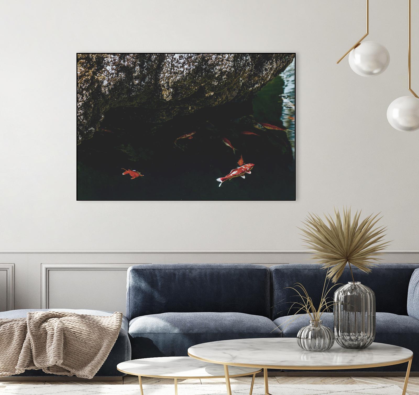 Hiding Koi by Pexels on GIANT ART - orange animals