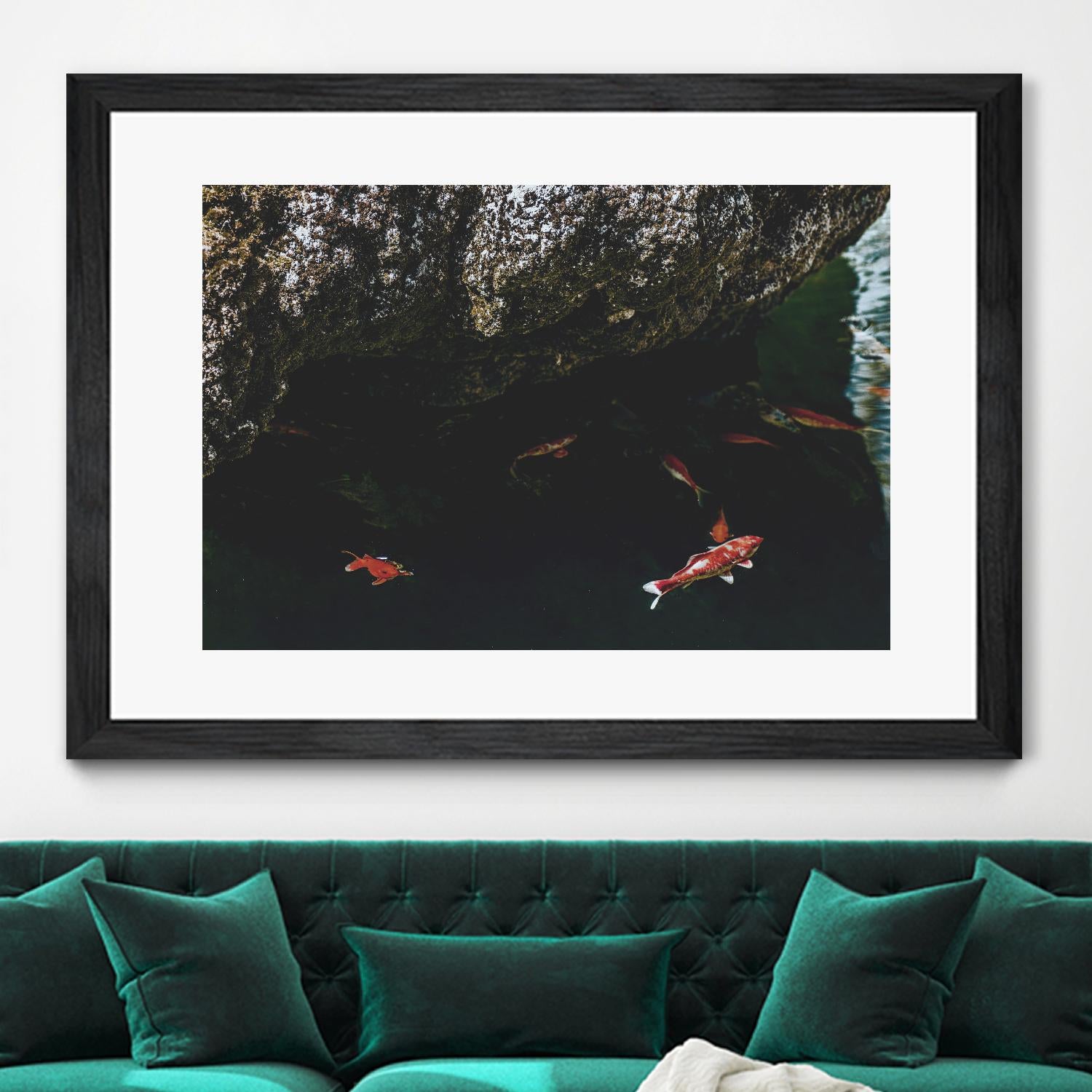 Hiding Koi by Pexels on GIANT ART - orange animals