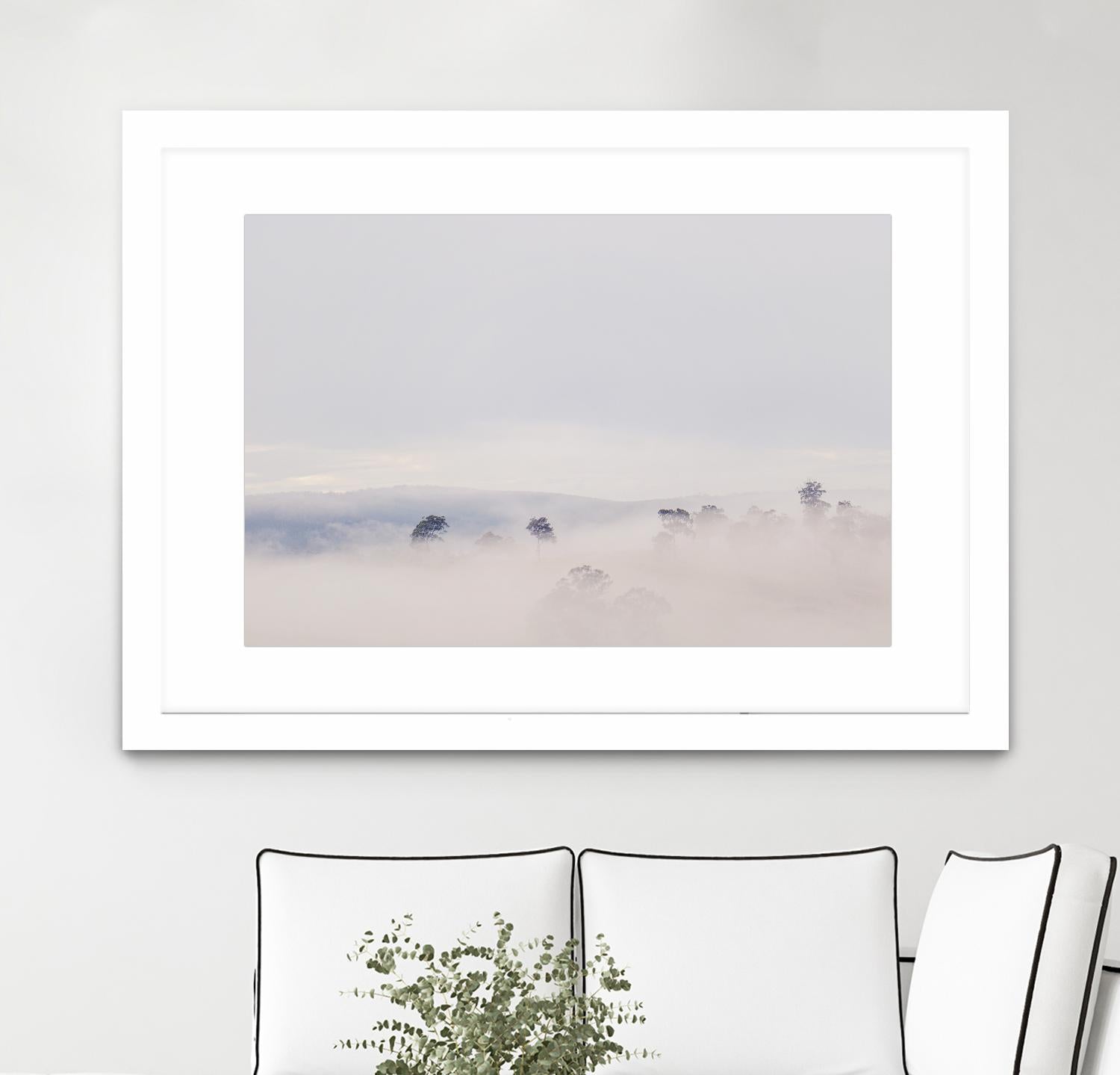 Top Trees by Pexels on GIANT ART - white landscape