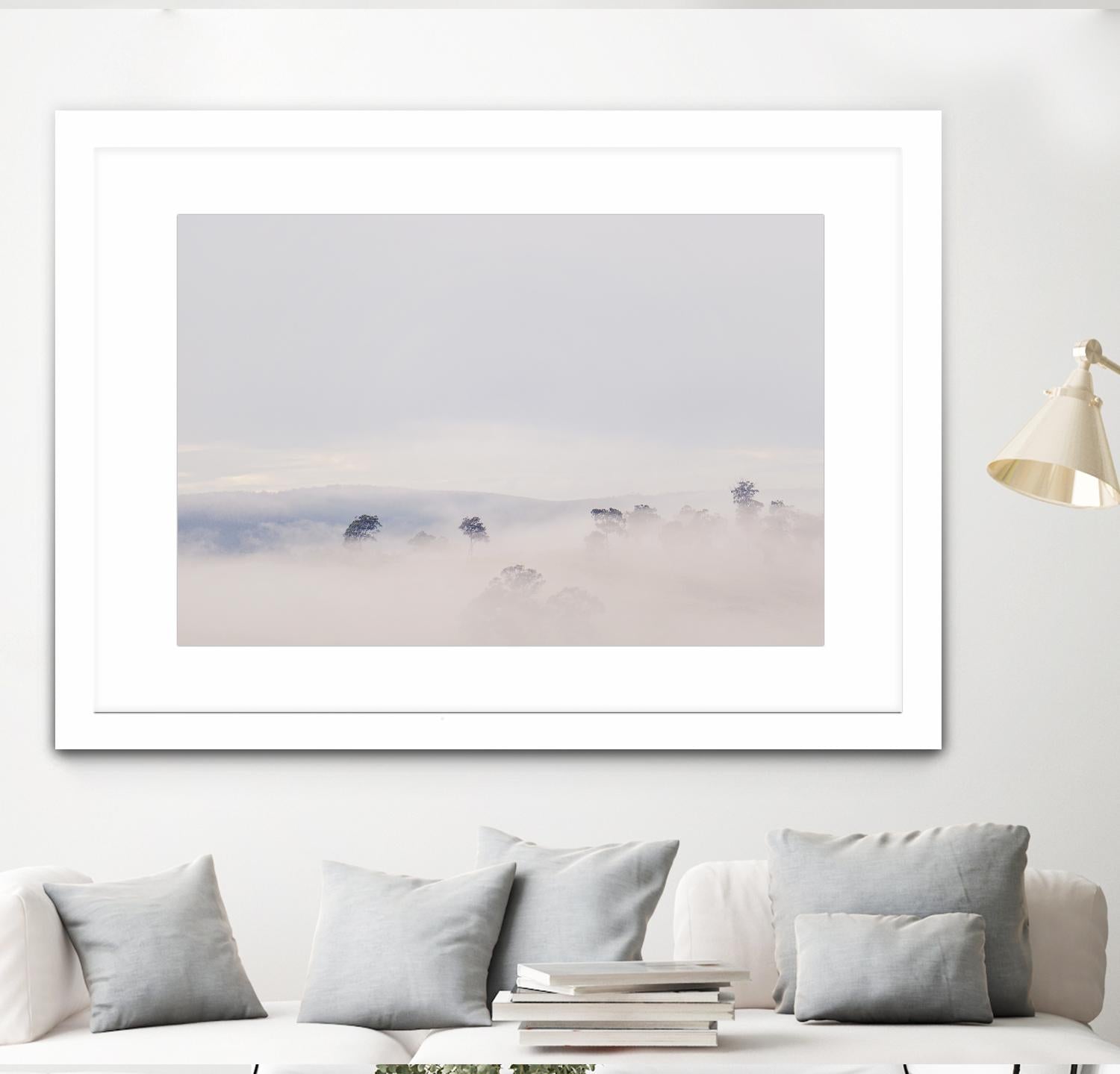 Top Trees by Pexels on GIANT ART - white landscape