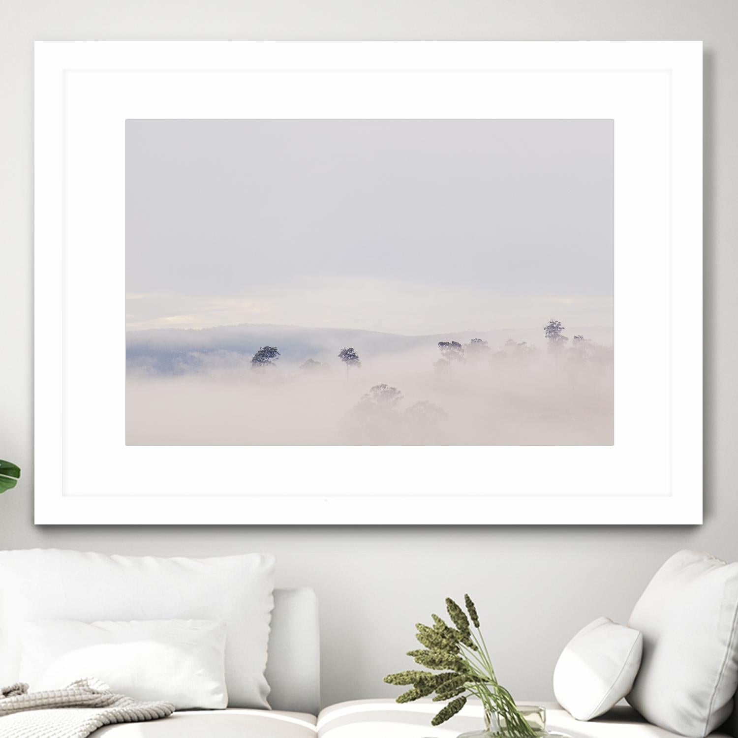 Top Trees by Pexels on GIANT ART - white landscape