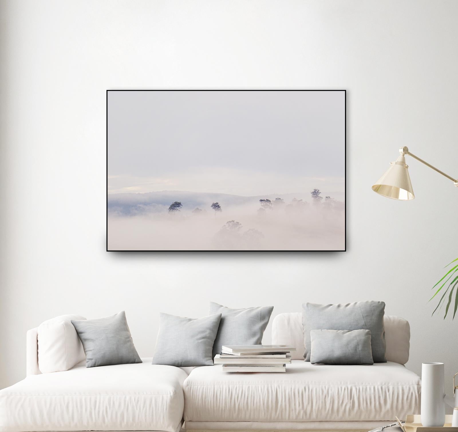 Top Trees by Pexels on GIANT ART - grey landscape