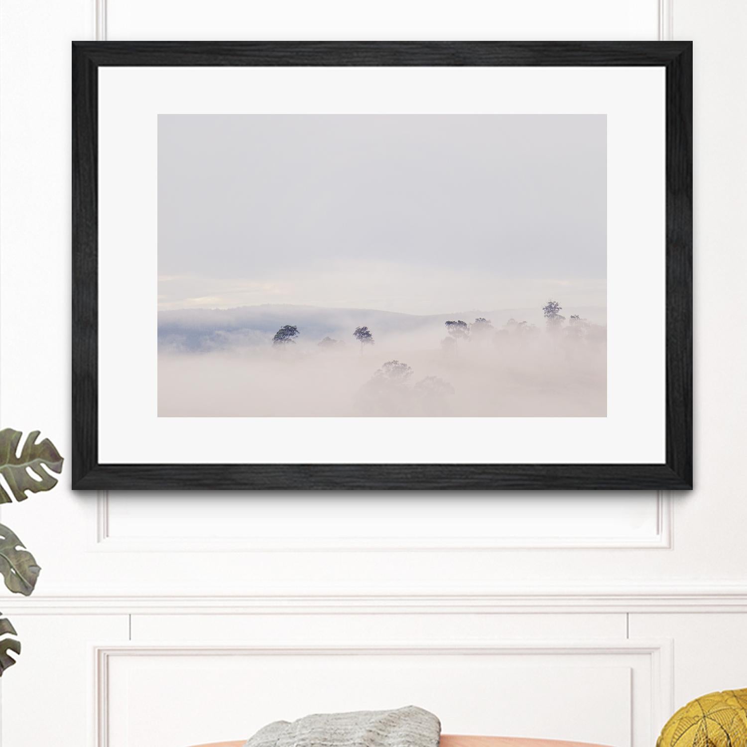 Top Trees by Pexels on GIANT ART - white landscape