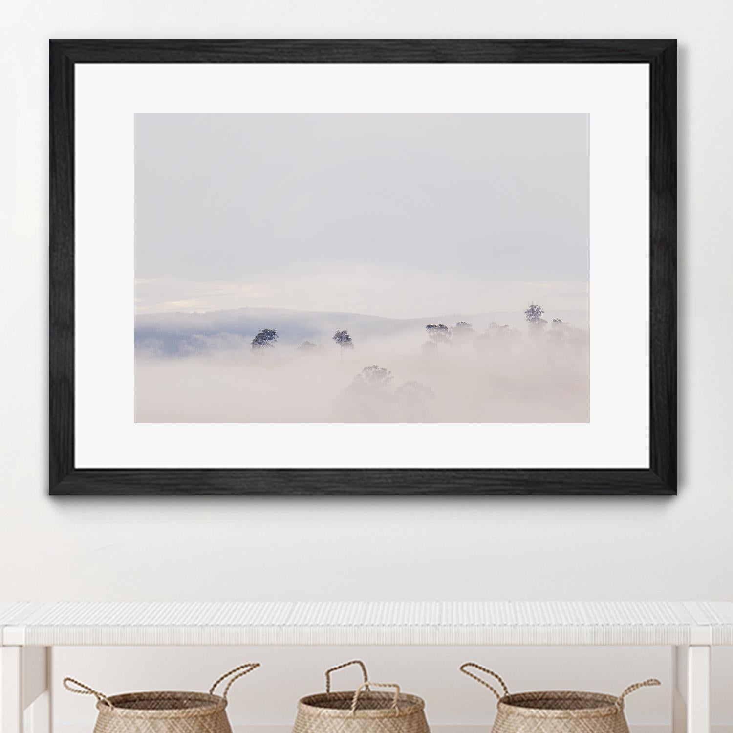 Top Trees by Pexels on GIANT ART - white landscape