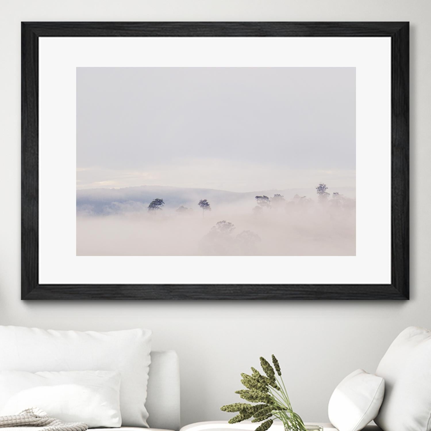 Top Trees by Pexels on GIANT ART - white landscape