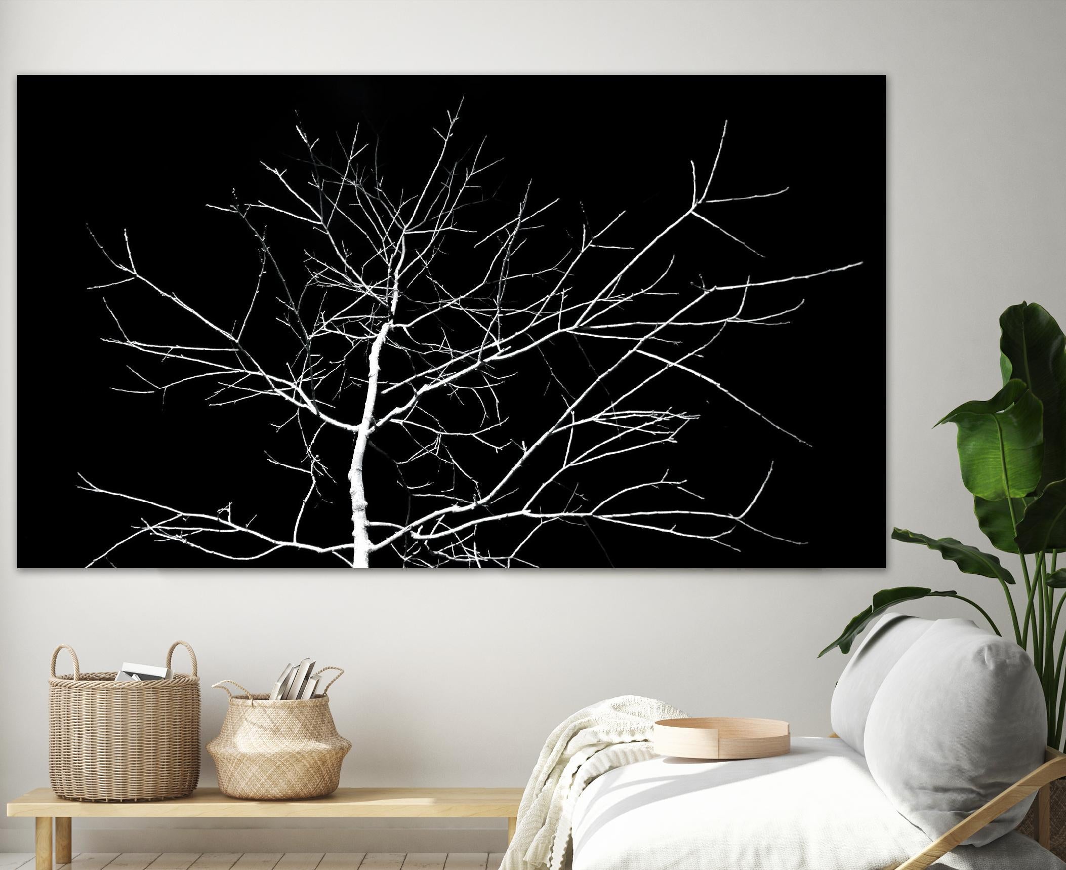 White Tree by Pexels on GIANT ART - white trees