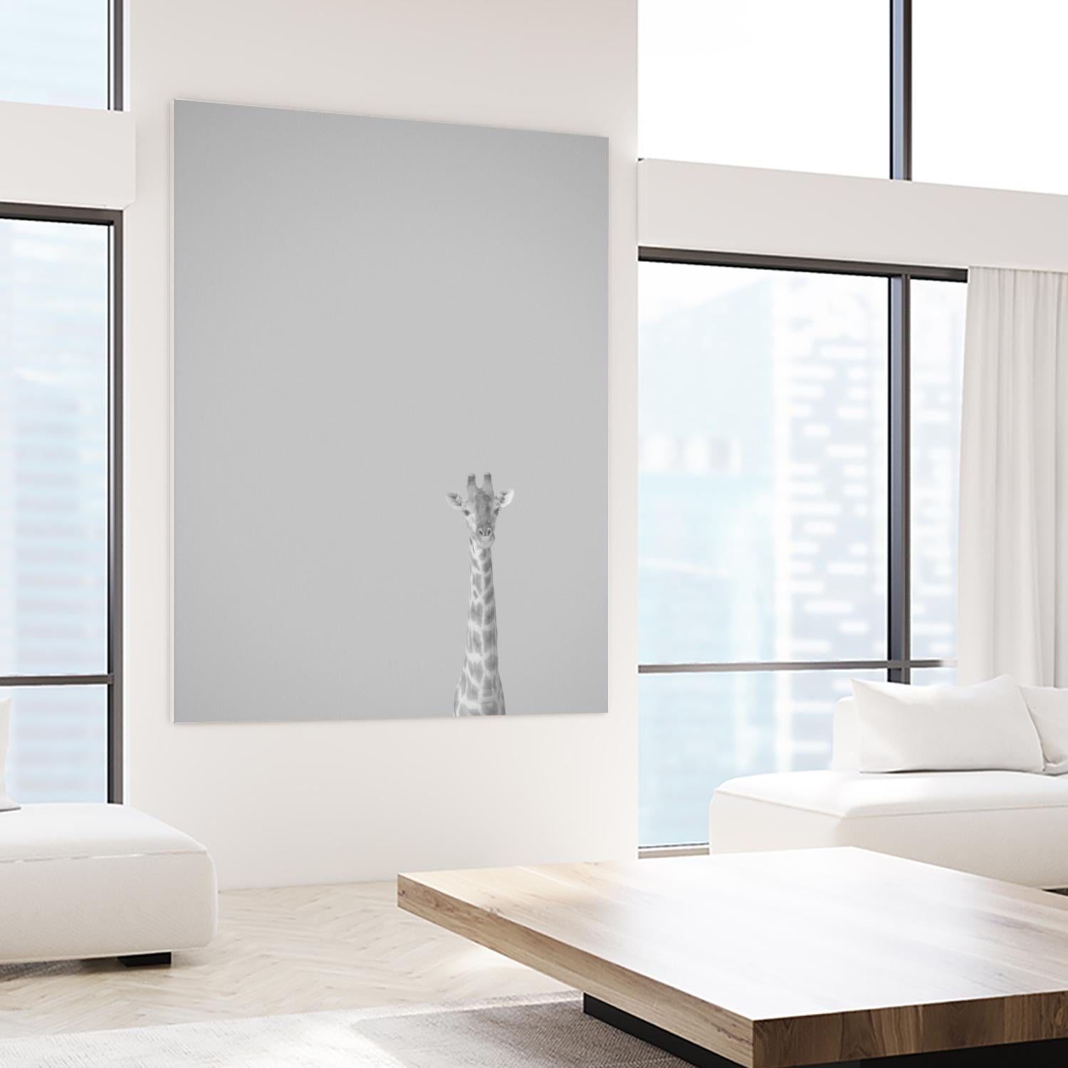 Hello there by Pexels on GIANT ART - black animals