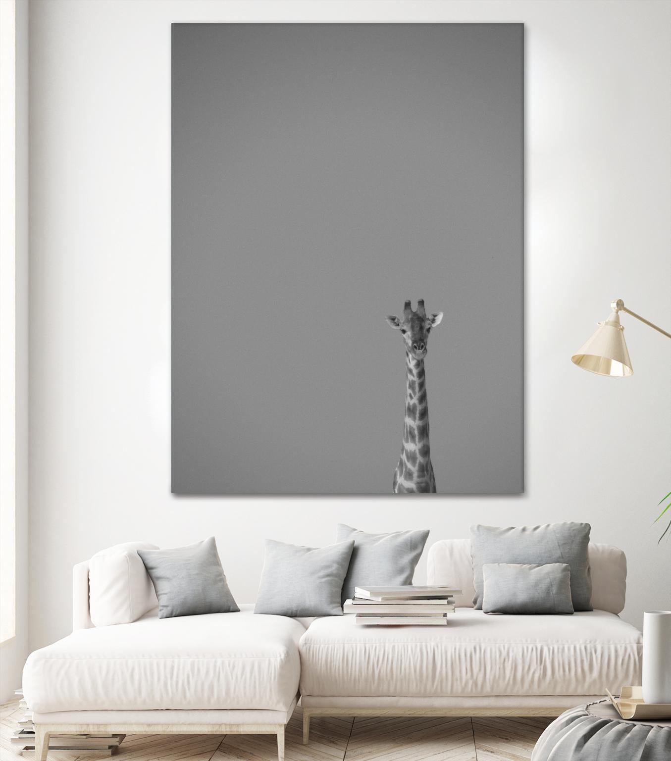 Hello there by Pexels on GIANT ART - black animals