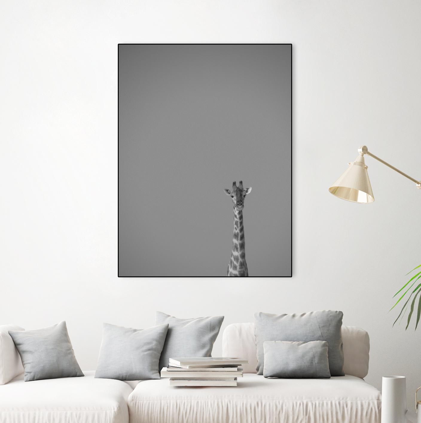 Hello there by Pexels on GIANT ART - black animals