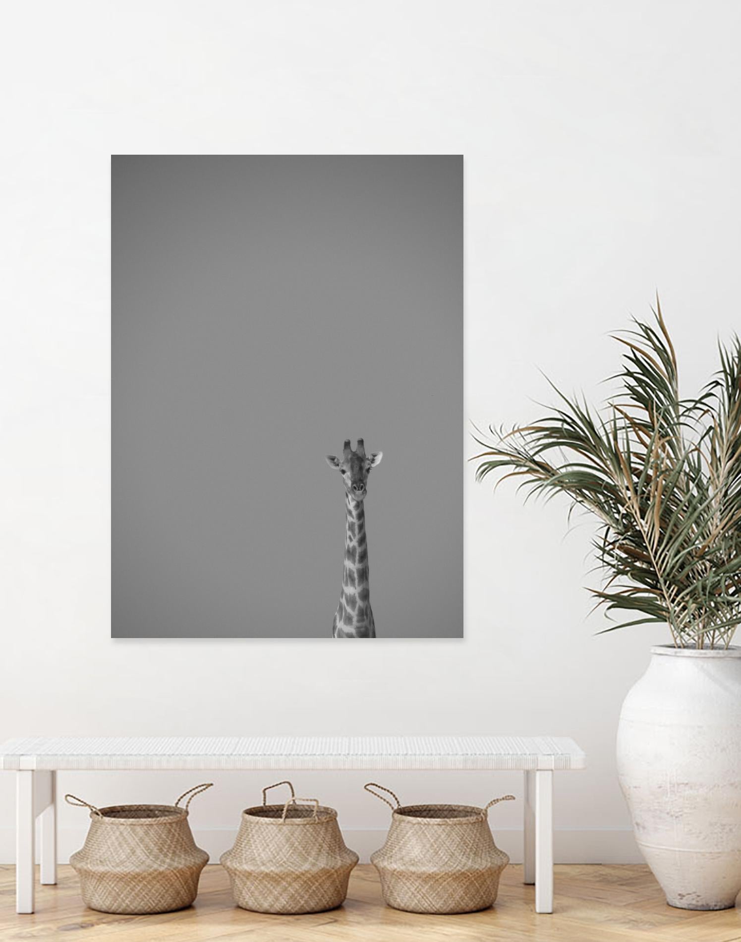 Hello there by Pexels on GIANT ART - black animals