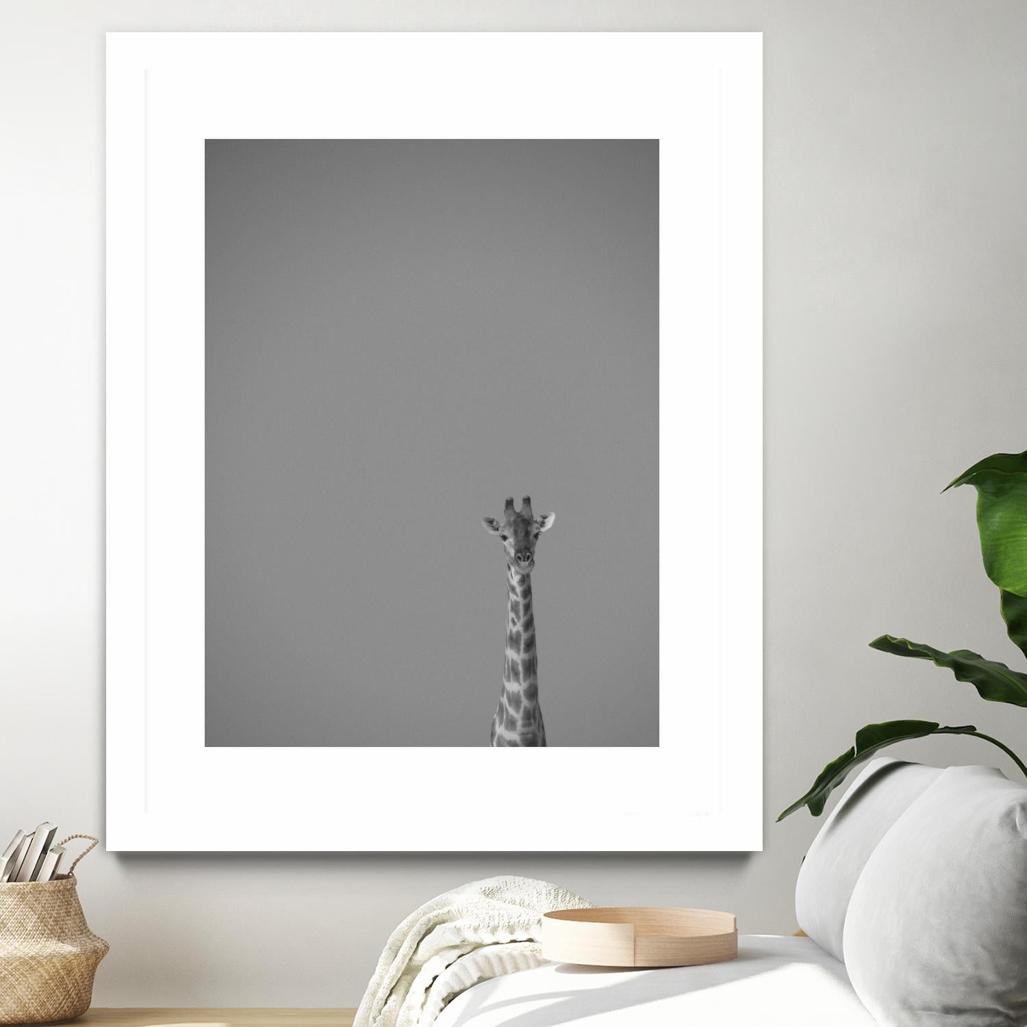 Hello there by Pexels on GIANT ART - black animals