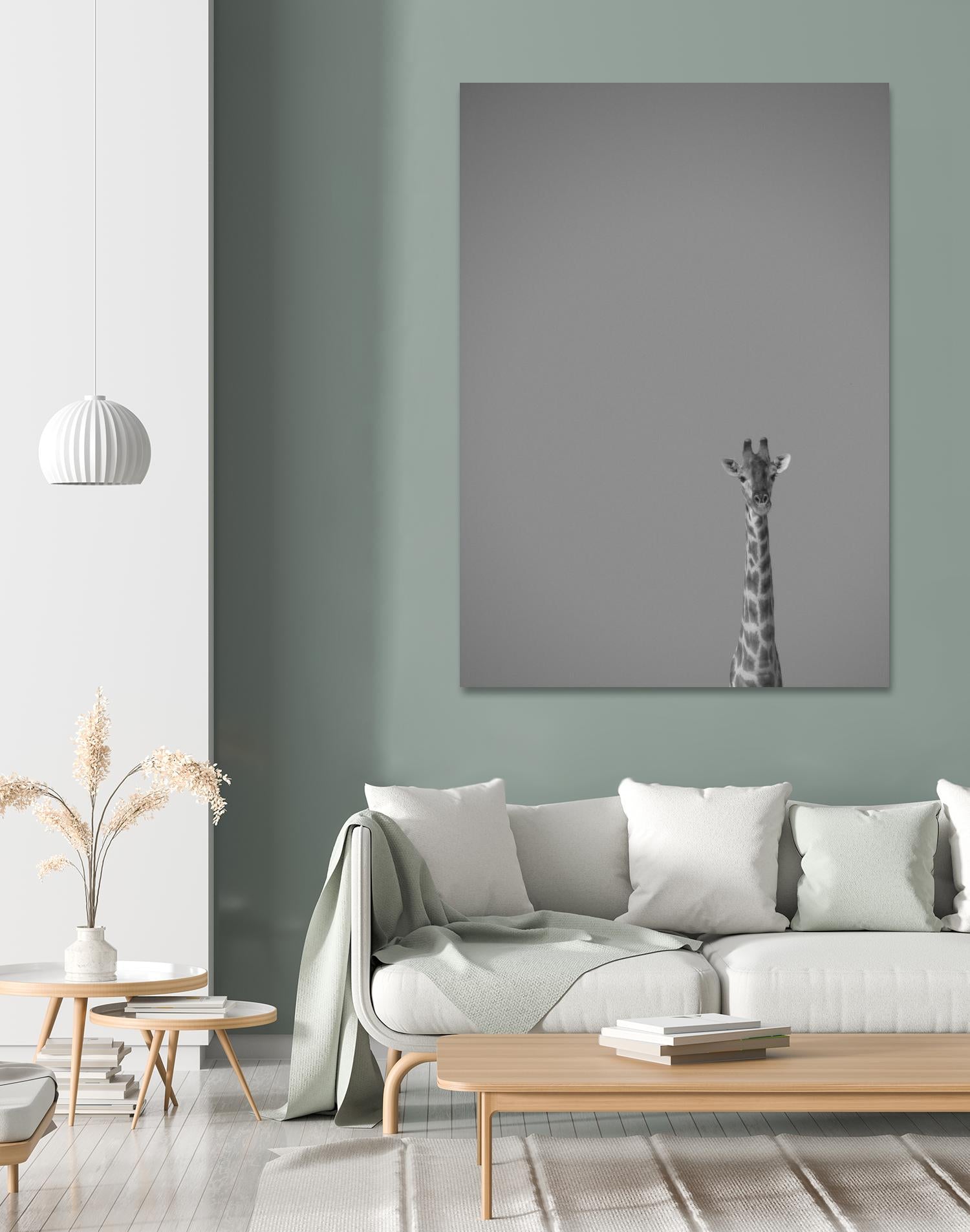 Hello there by Pexels on GIANT ART - black animals