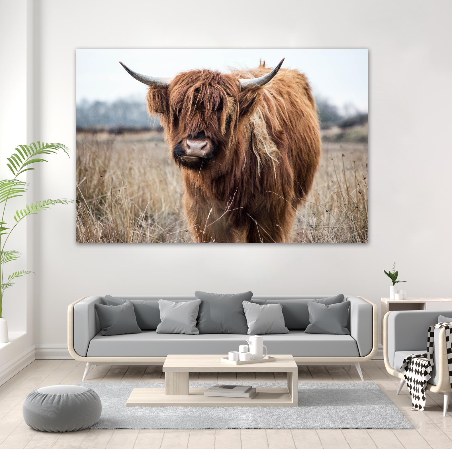 Grazing by Pexels on GIANT ART - black animals