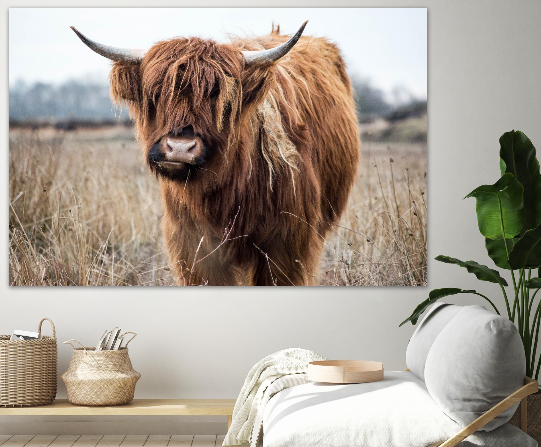 Grazing by Pexels on GIANT ART - black animals