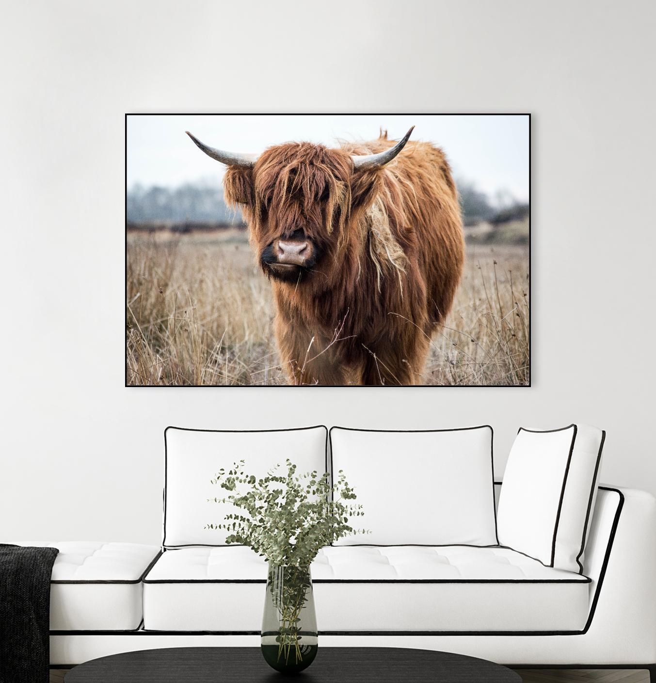 Grazing by Pexels on GIANT ART - black animals