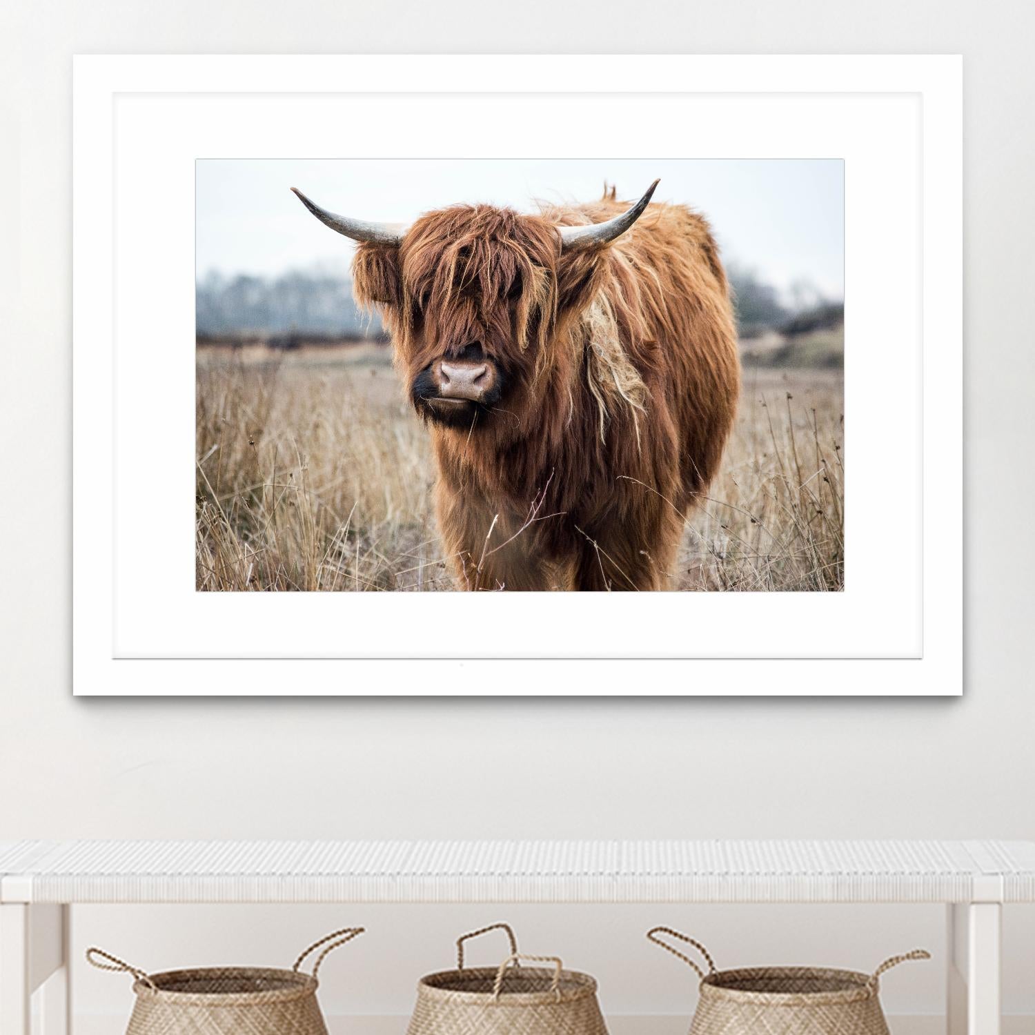 Grazing by Pexels on GIANT ART - black animals