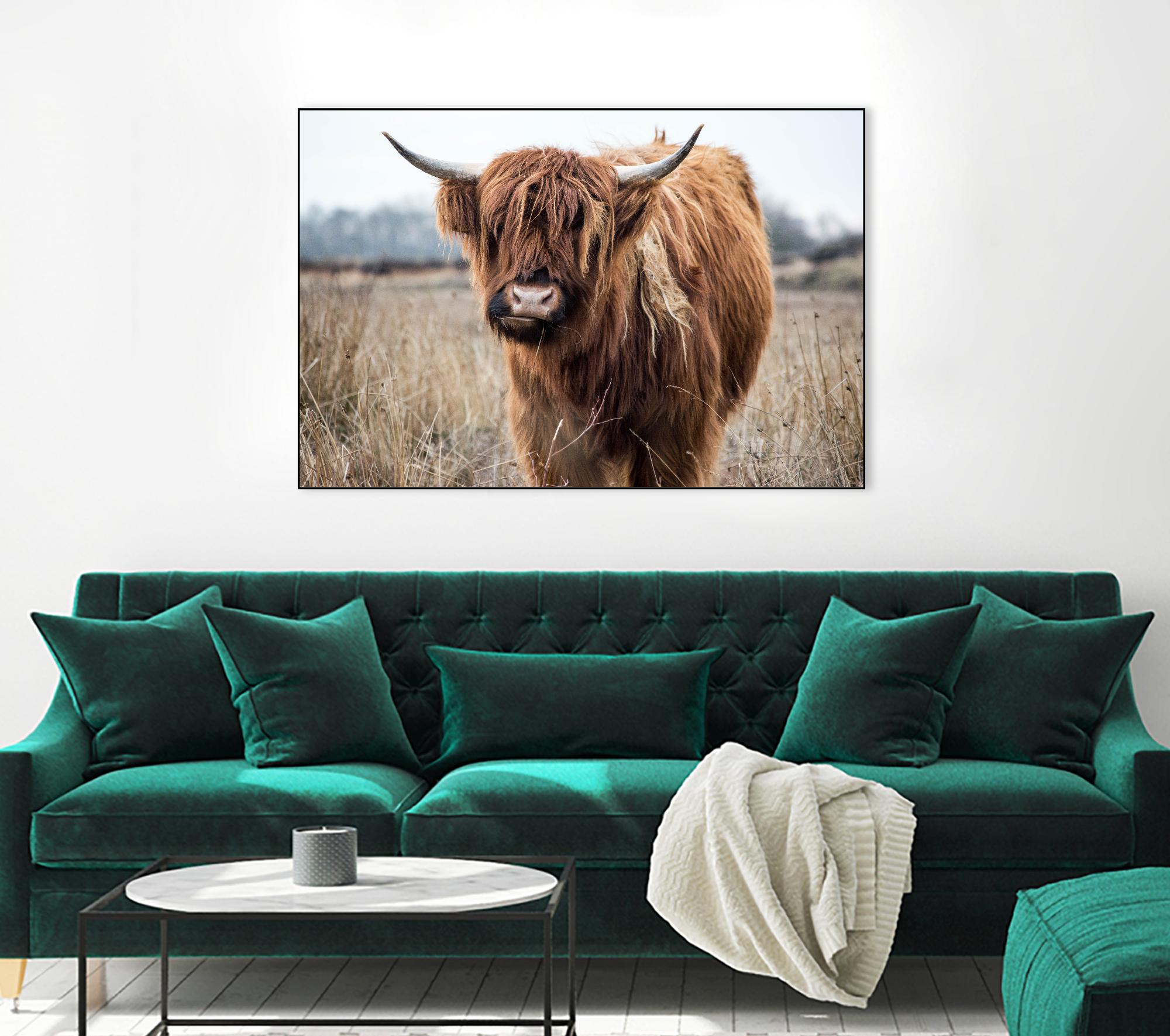 Grazing by Pexels on GIANT ART - black animals