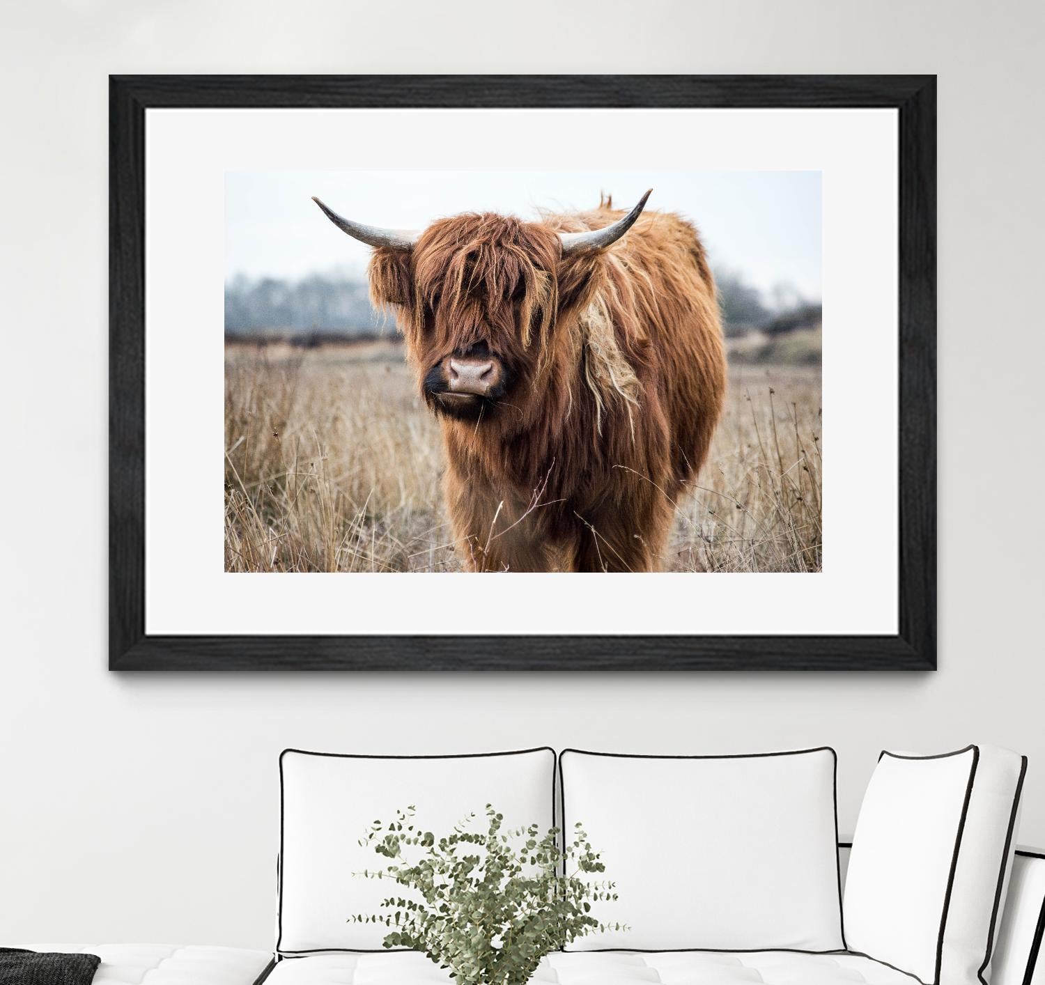 Grazing by Pexels on GIANT ART - black animals