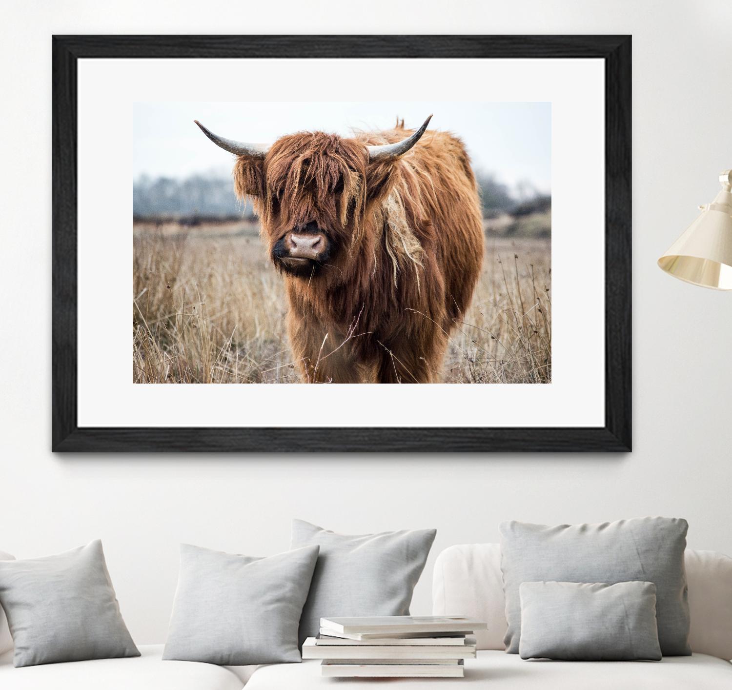 Grazing by Pexels on GIANT ART - black animals