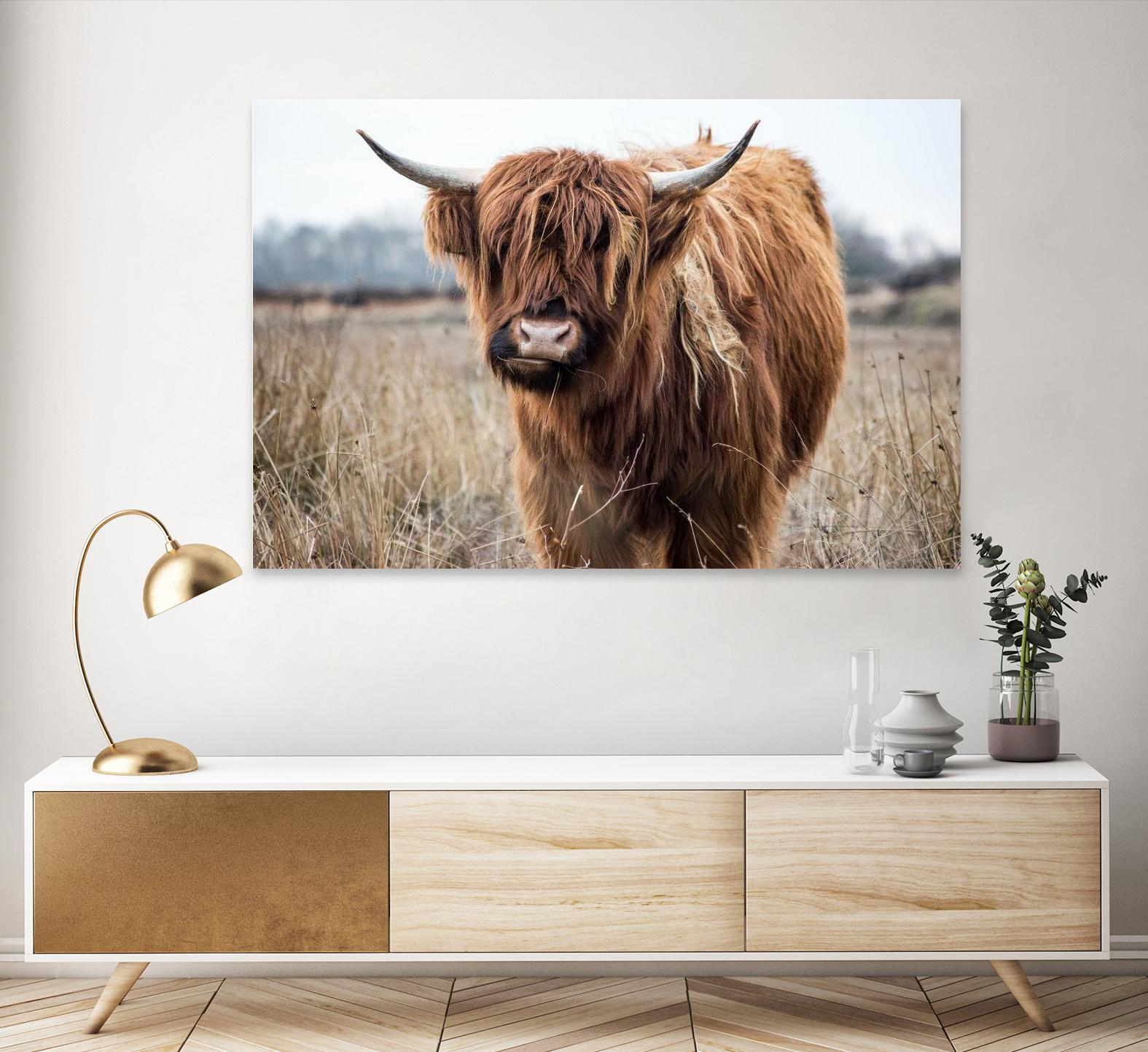 Grazing by Pexels on GIANT ART - black animals