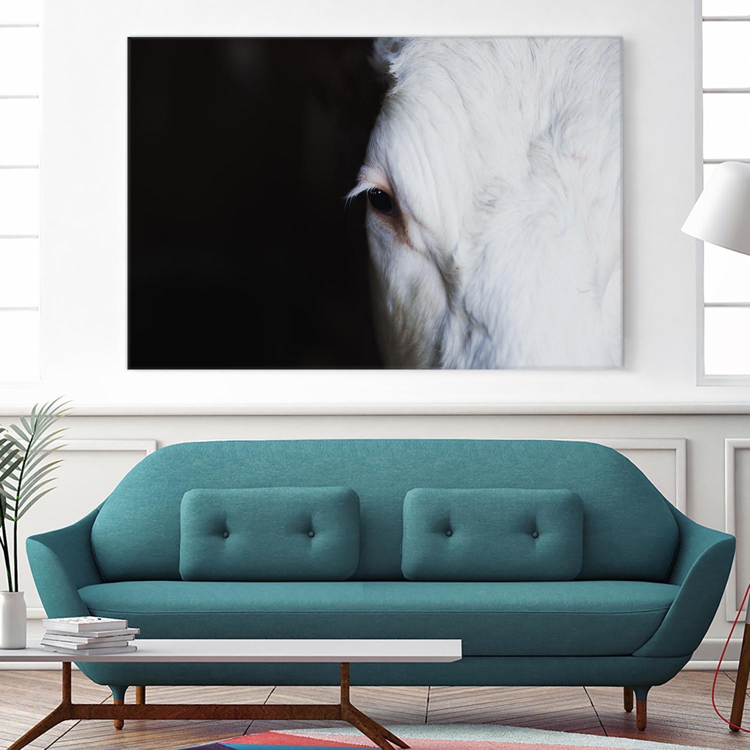 Marguerite by Pexels on GIANT ART - white animals