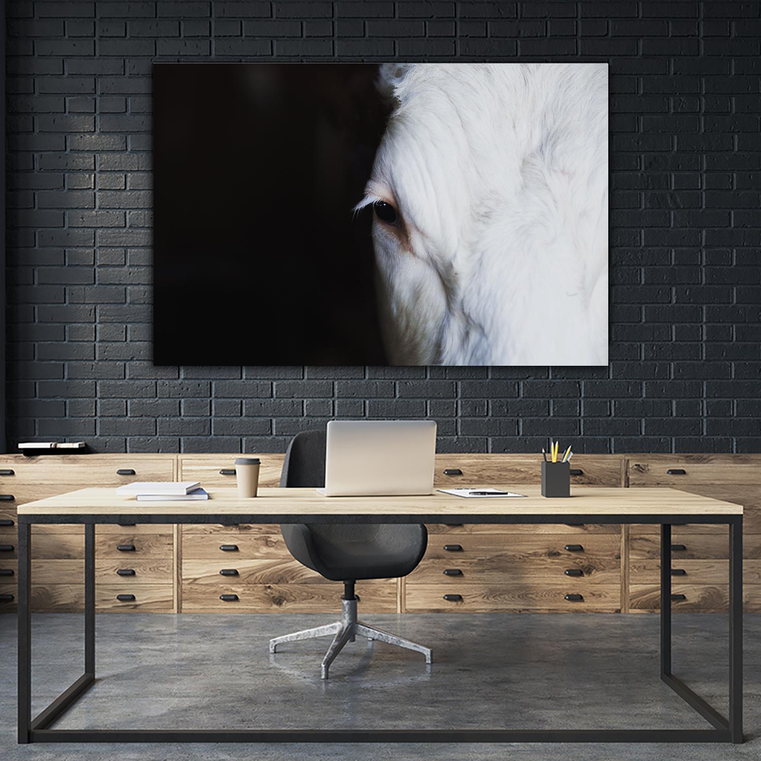 Marguerite by Pexels on GIANT ART - white animals