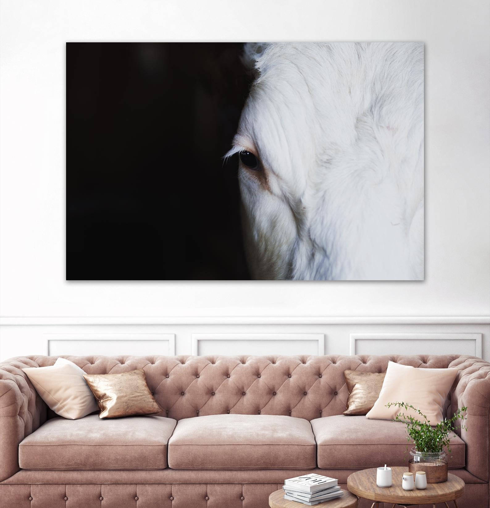 Marguerite by Pexels on GIANT ART - white animals