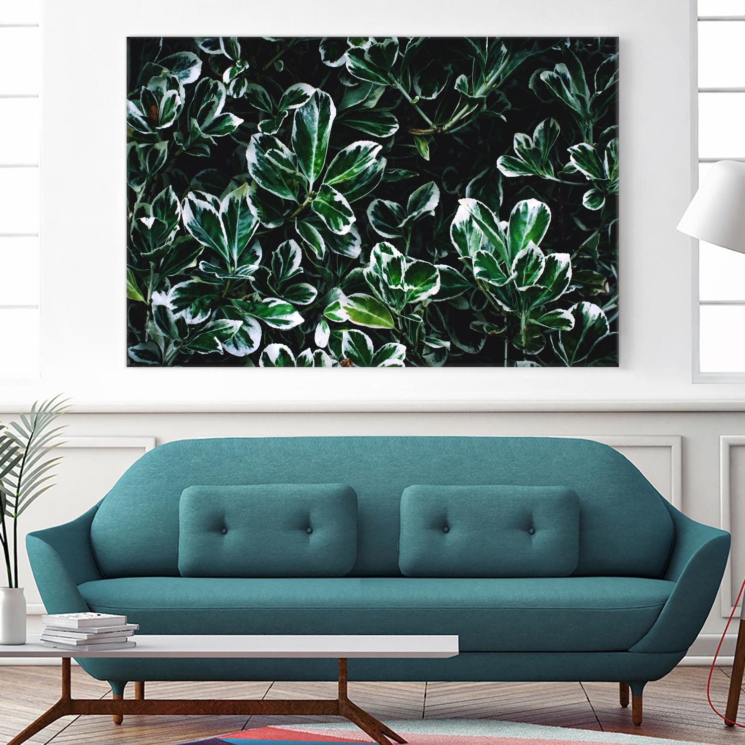 Colored leaves by Pexels on GIANT ART - white botany