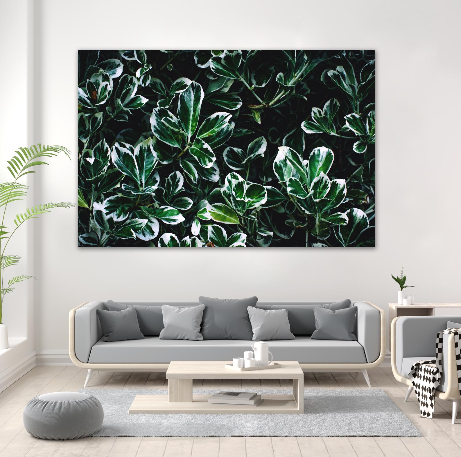 Colored leaves by Pexels on GIANT ART - white botany