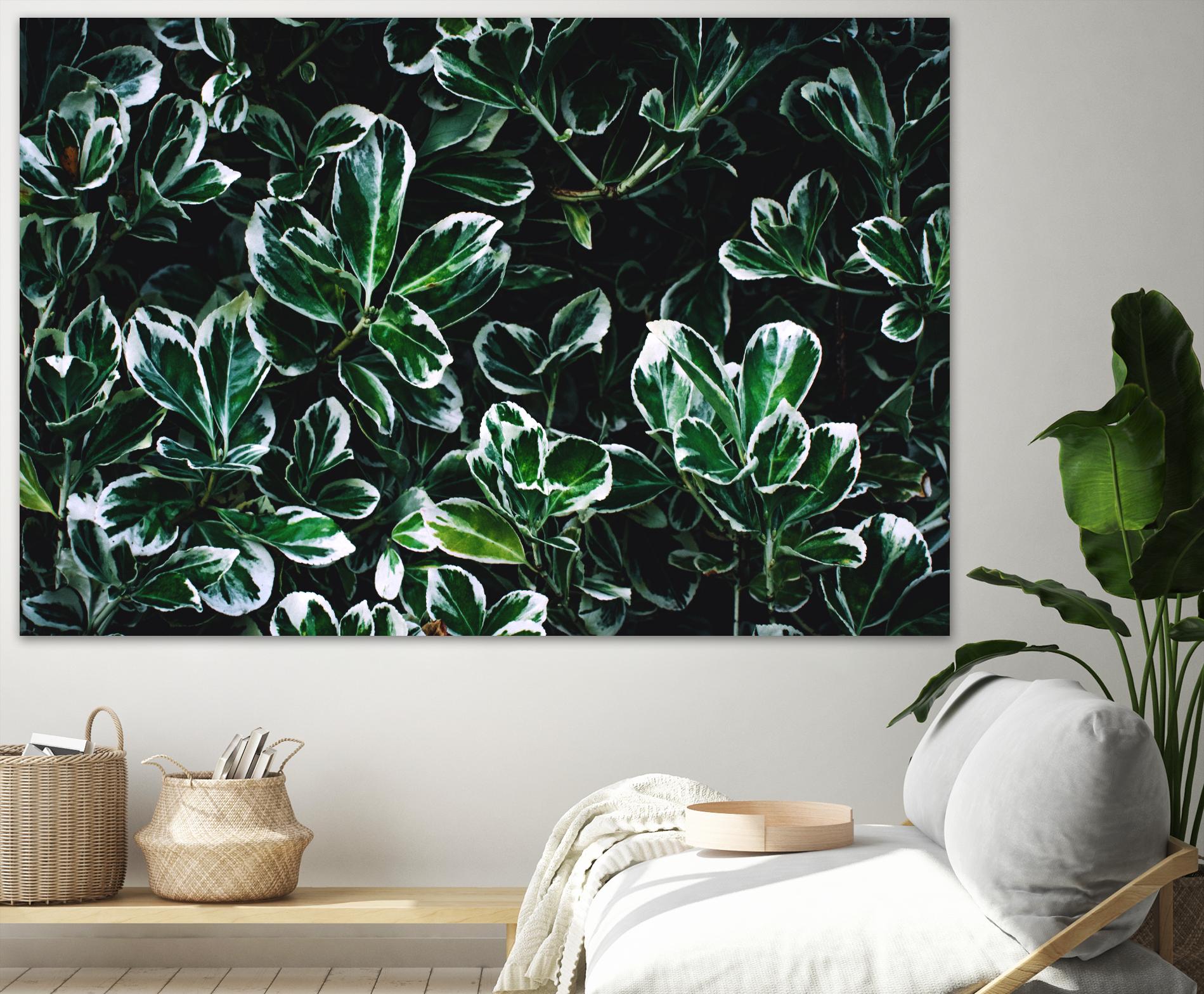 Colored leaves by Pexels on GIANT ART - white botany