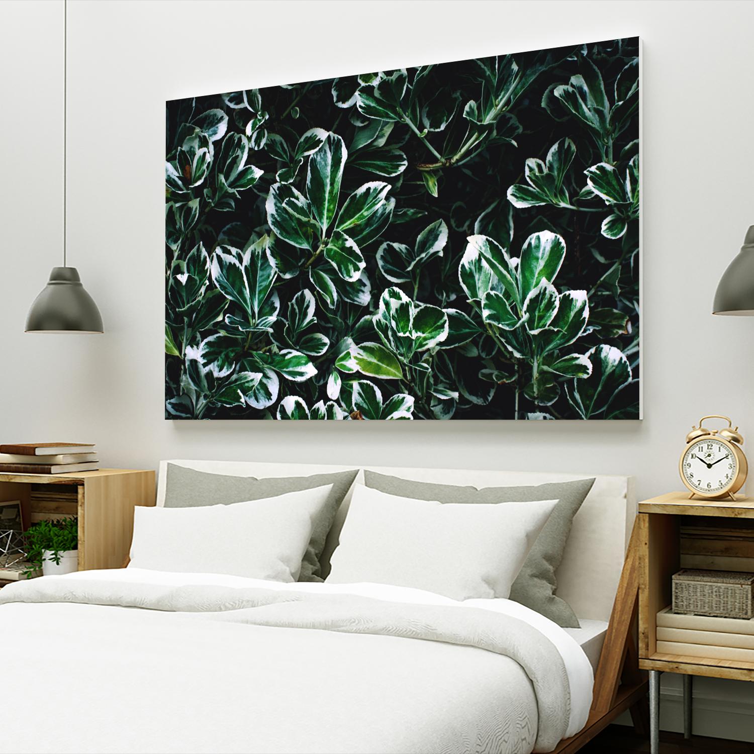 Colored leaves by Pexels on GIANT ART - white botany