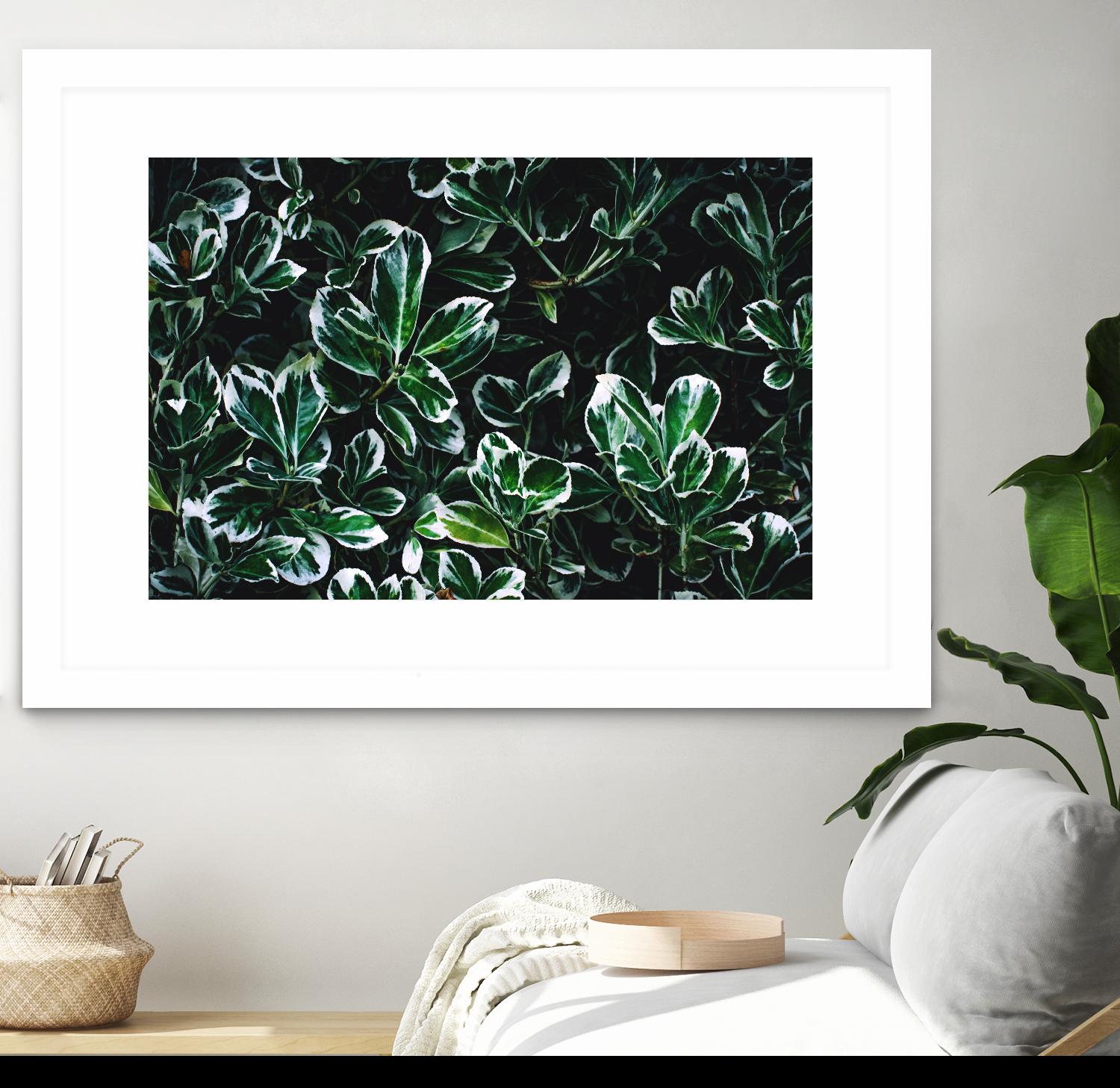 Colored leaves by Pexels on GIANT ART - white botany