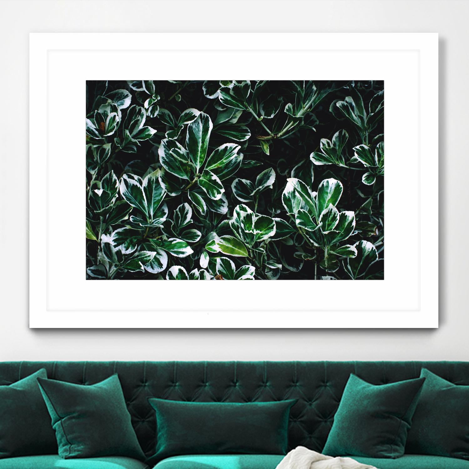 Colored leaves by Pexels on GIANT ART - white botany