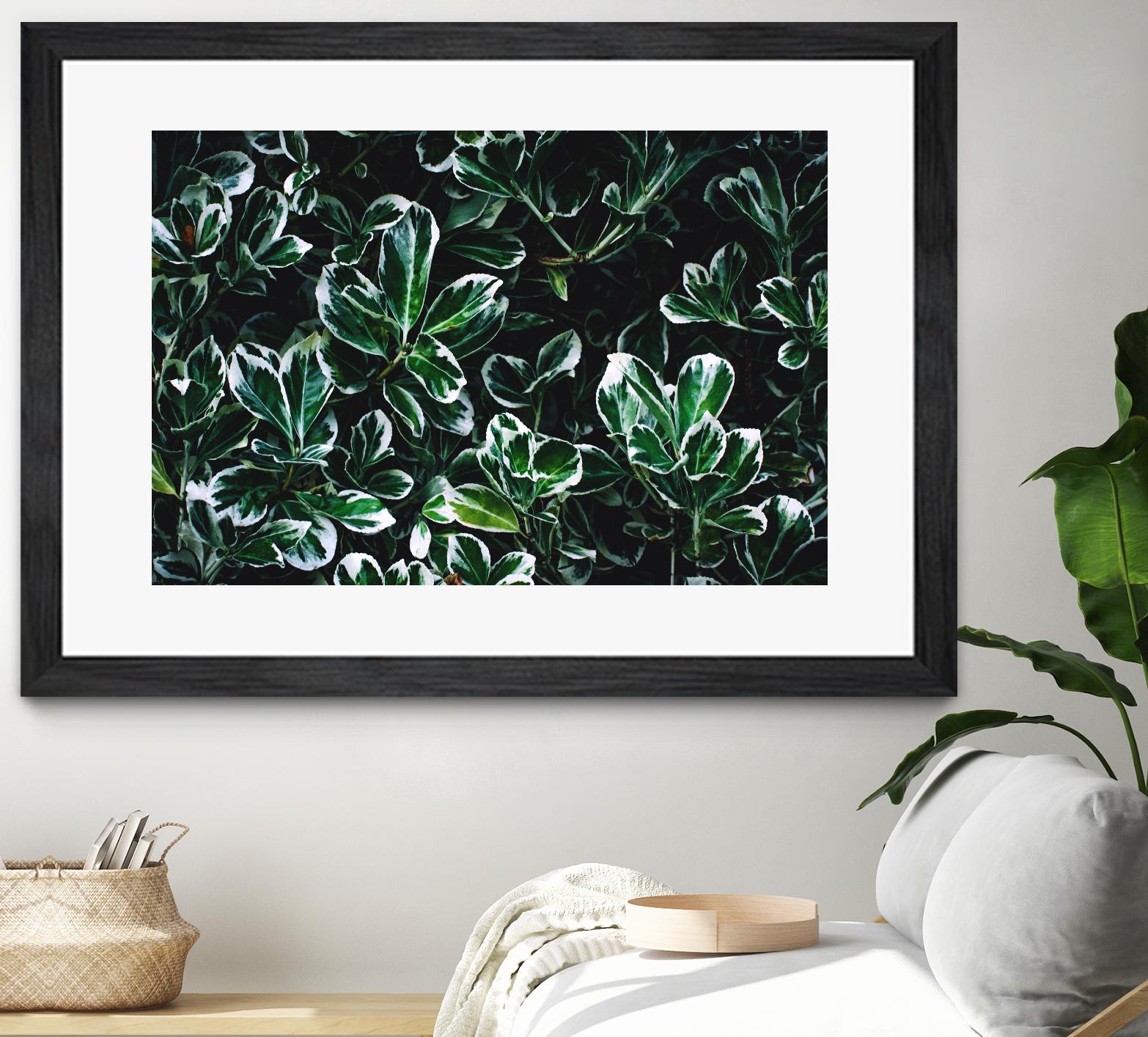 Colored leaves by Pexels on GIANT ART - white botany