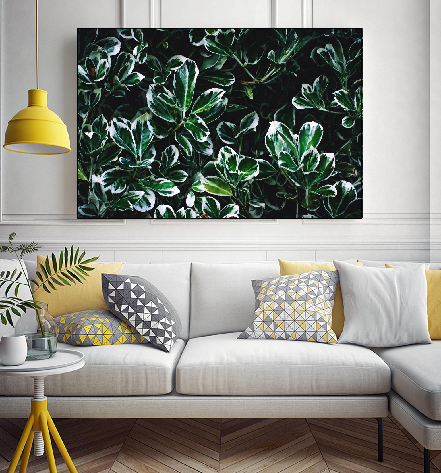 Colored leaves by Pexels on GIANT ART - white botany