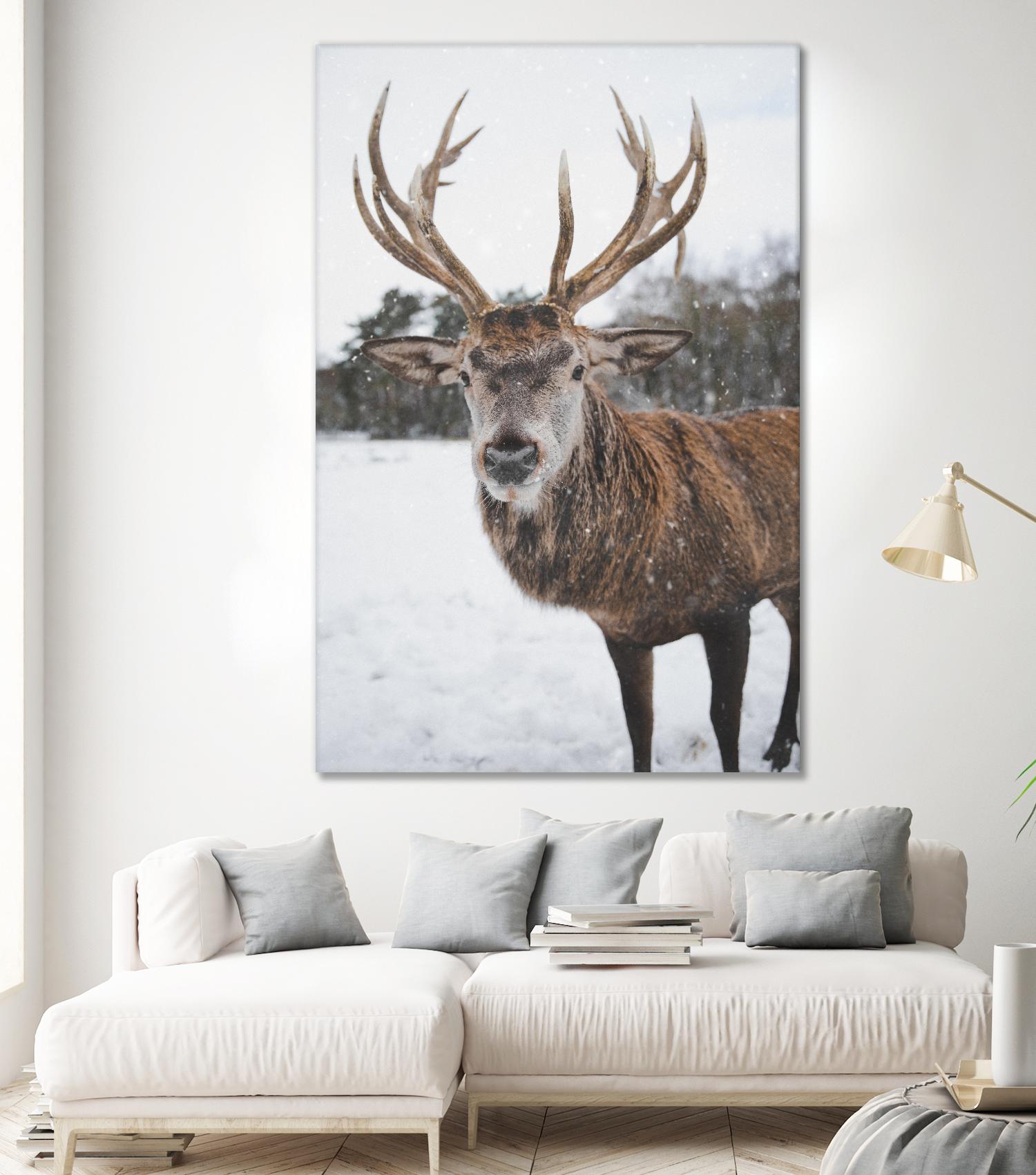 Deer by Pexels on GIANT ART - white animals