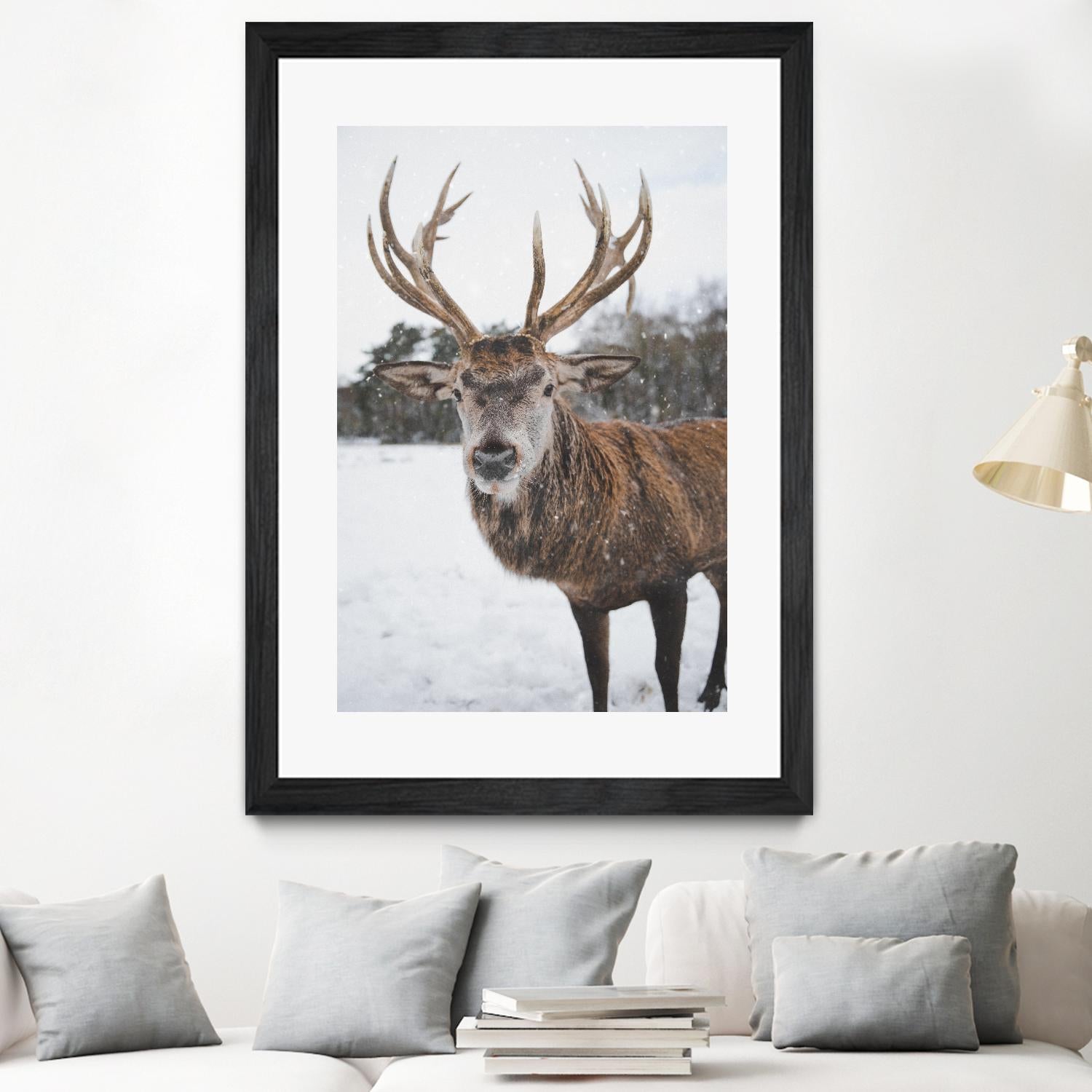 Deer by Pexels on GIANT ART - white animals