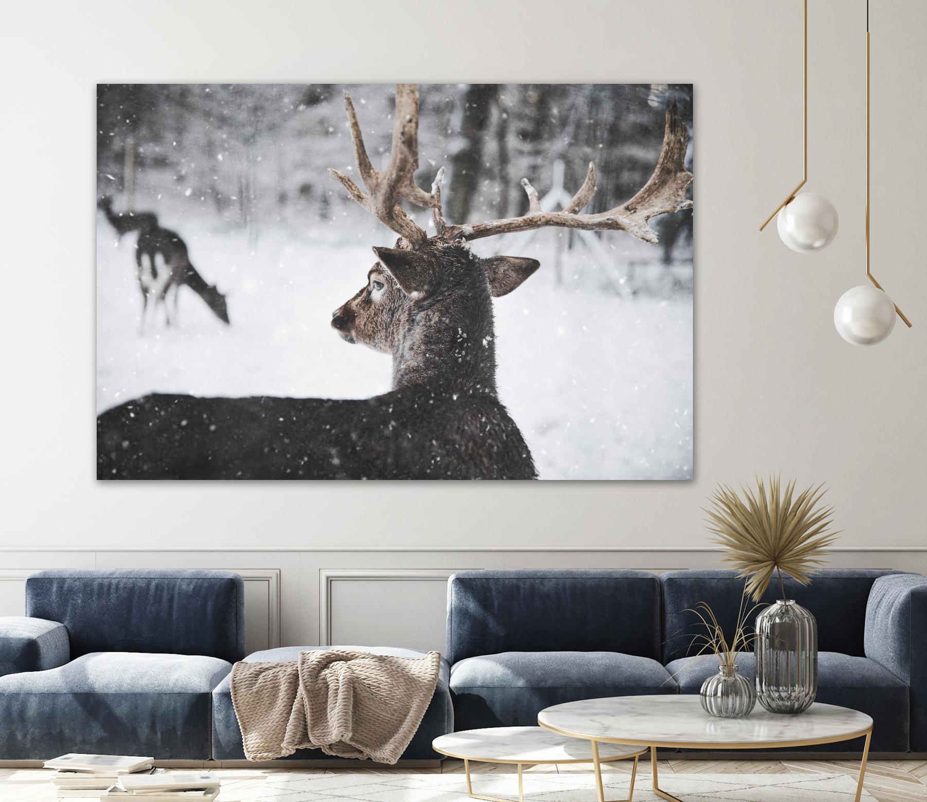 Deers by Pexels on GIANT ART - white animals