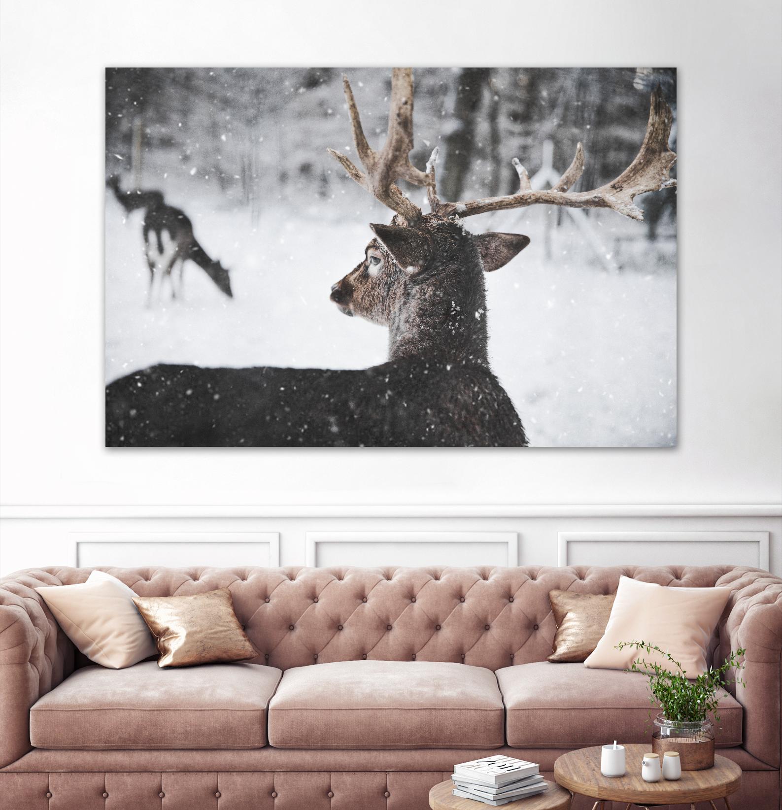Deers by Pexels on GIANT ART - white animals