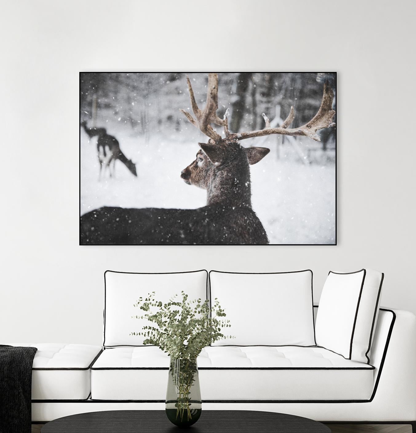 Deers by Pexels on GIANT ART - white animals