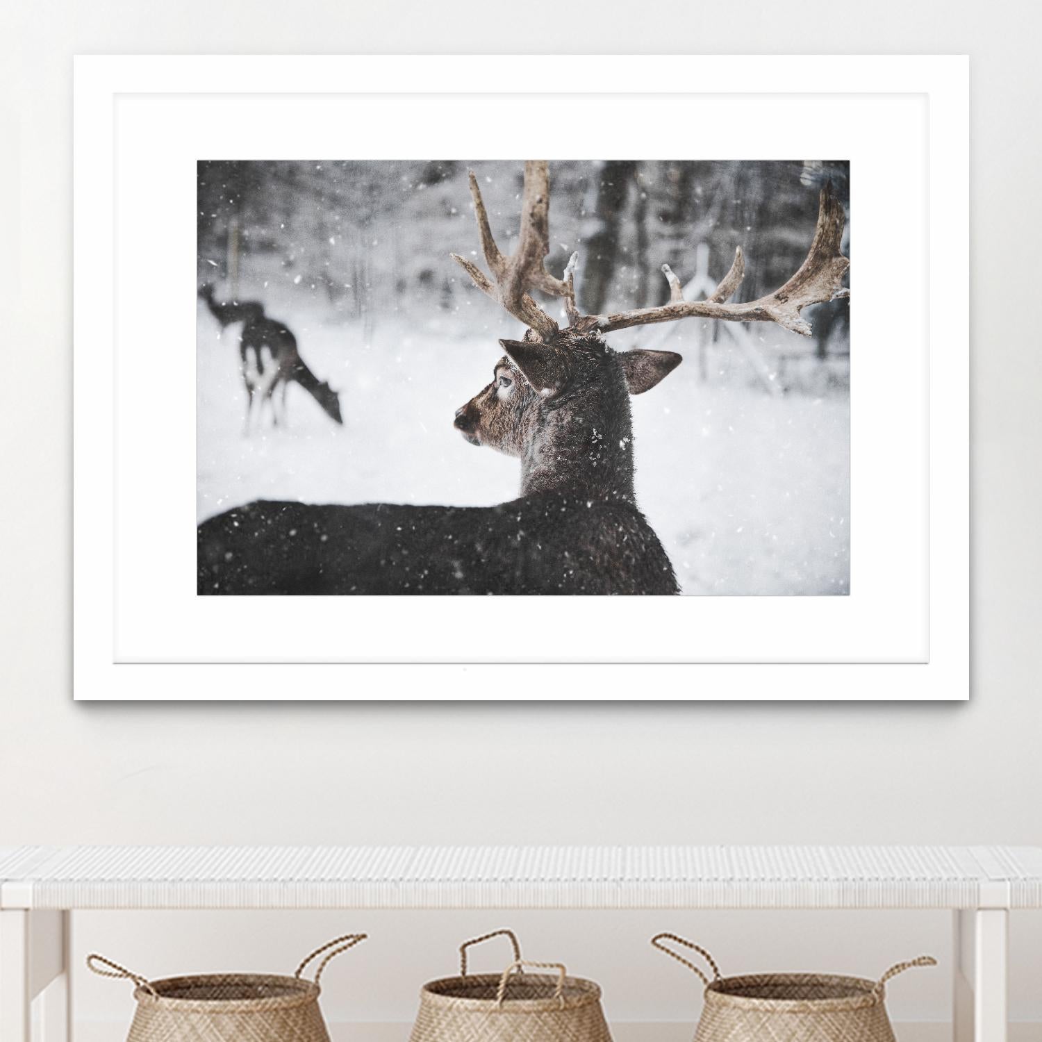 Deers by Pexels on GIANT ART - white animals