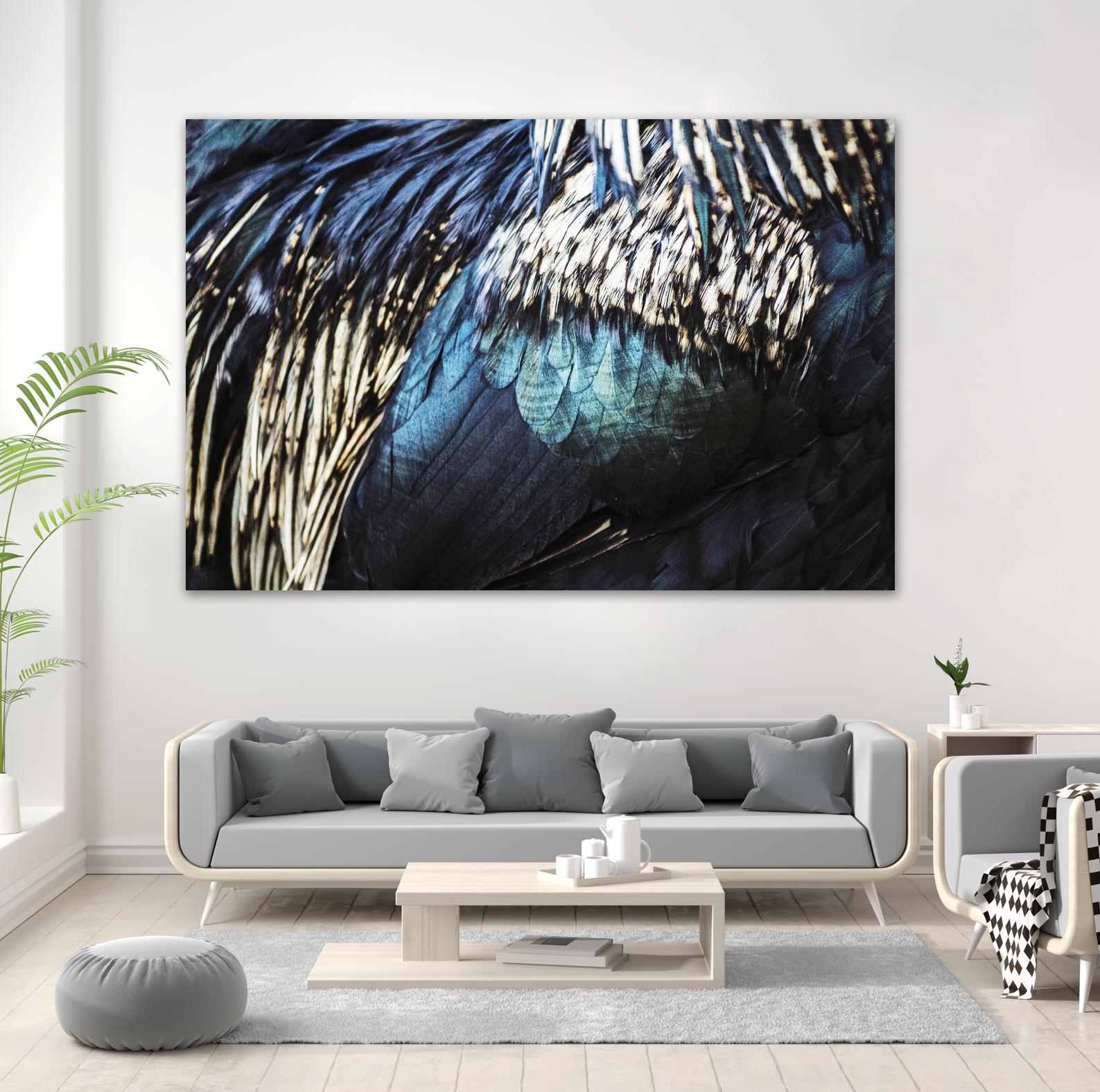 Blue feathers by Pexels on GIANT ART - white animals