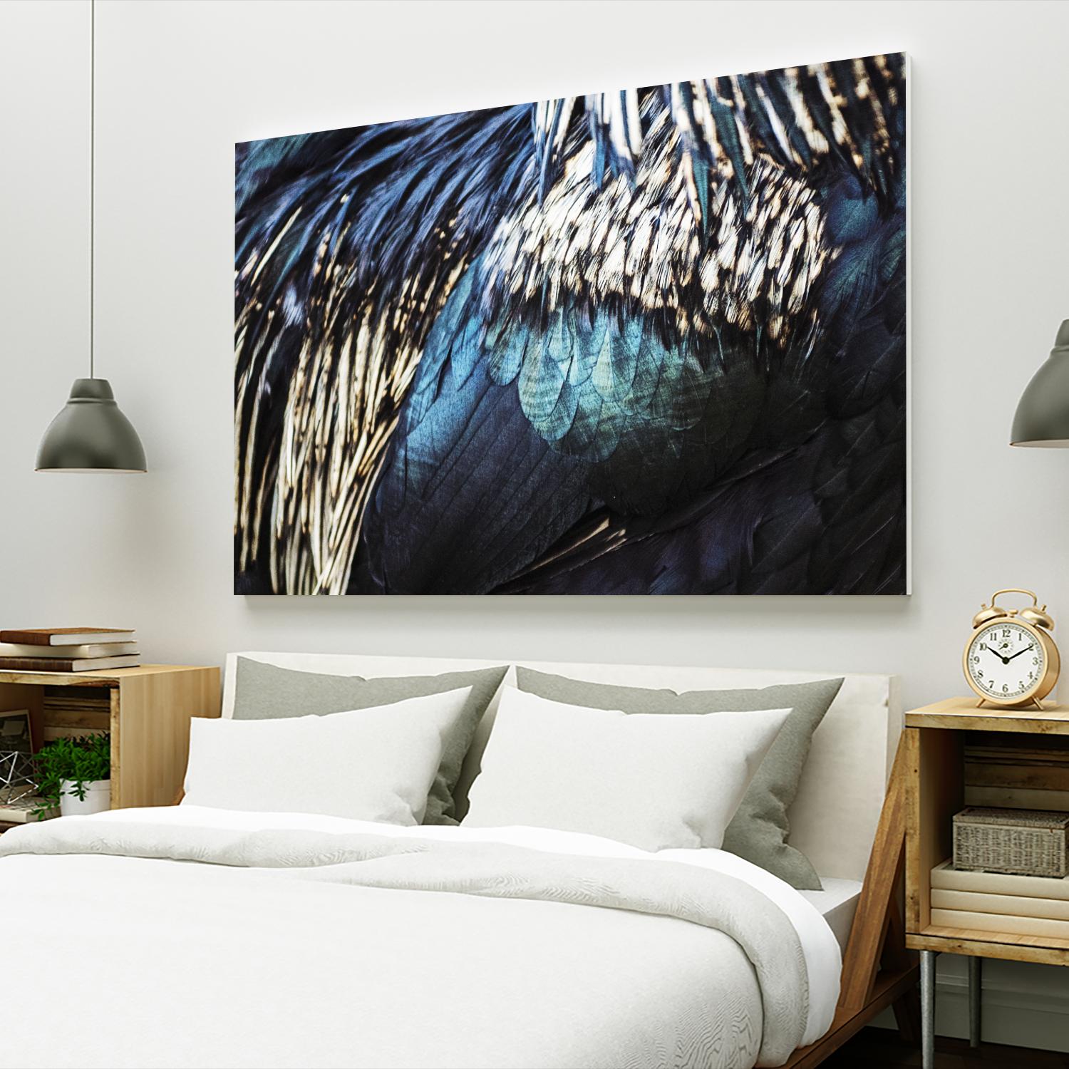 Blue feathers by Pexels on GIANT ART - white animals