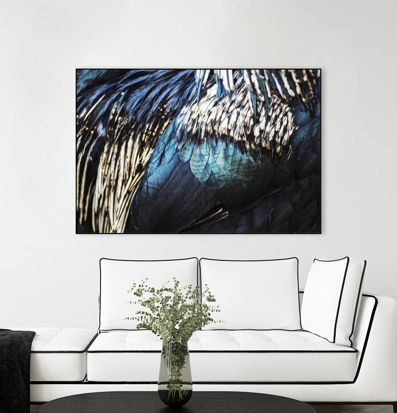 Blue feathers by Pexels on GIANT ART - white animals