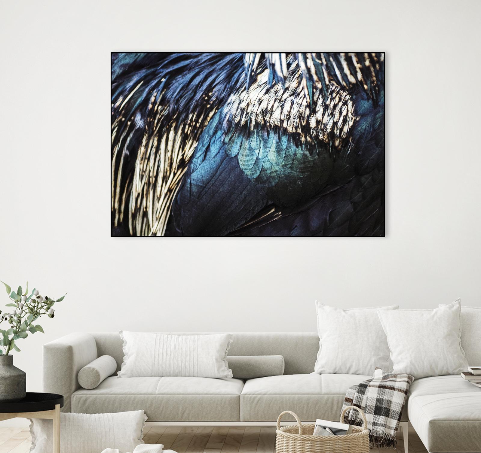 Blue feathers by Pexels on GIANT ART - white animals